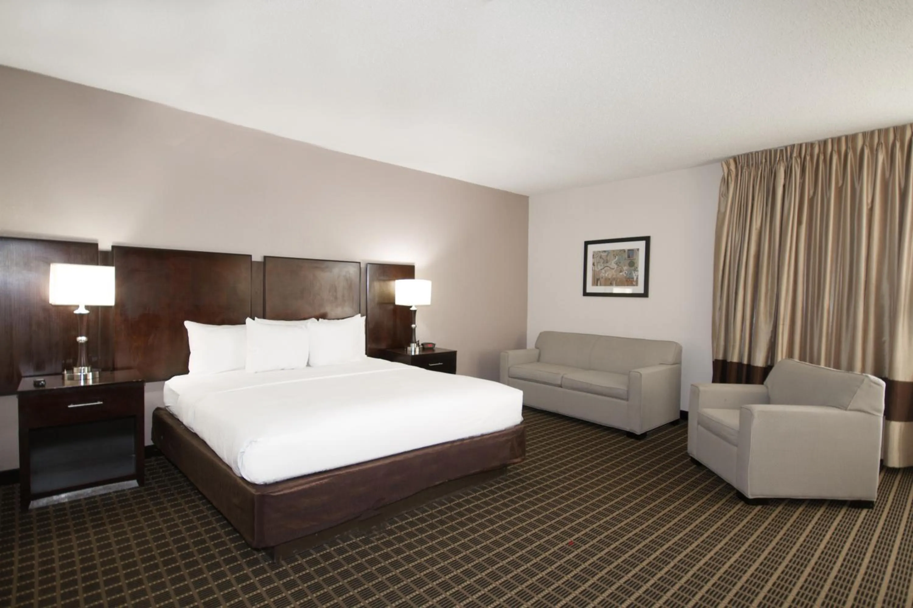 Superior King Suite - Non-smoking in Clarion Inn & Suites Miami International Airport