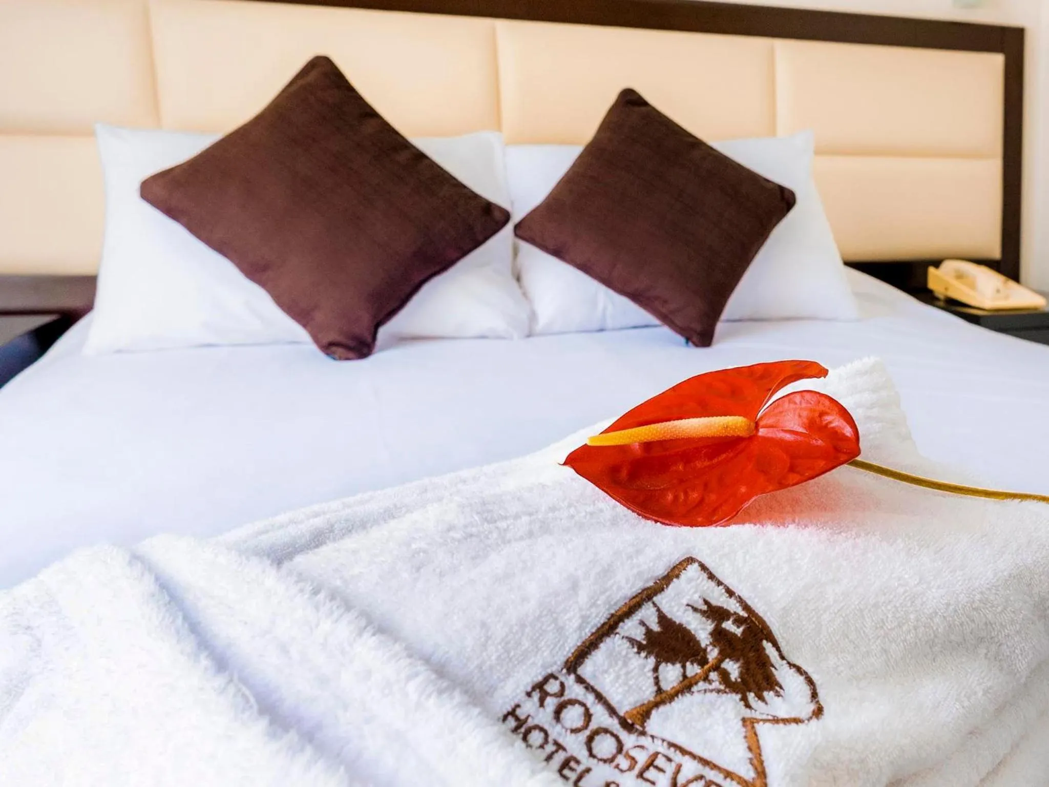 Standard Double Room in Roosevelt Hotel & Suites