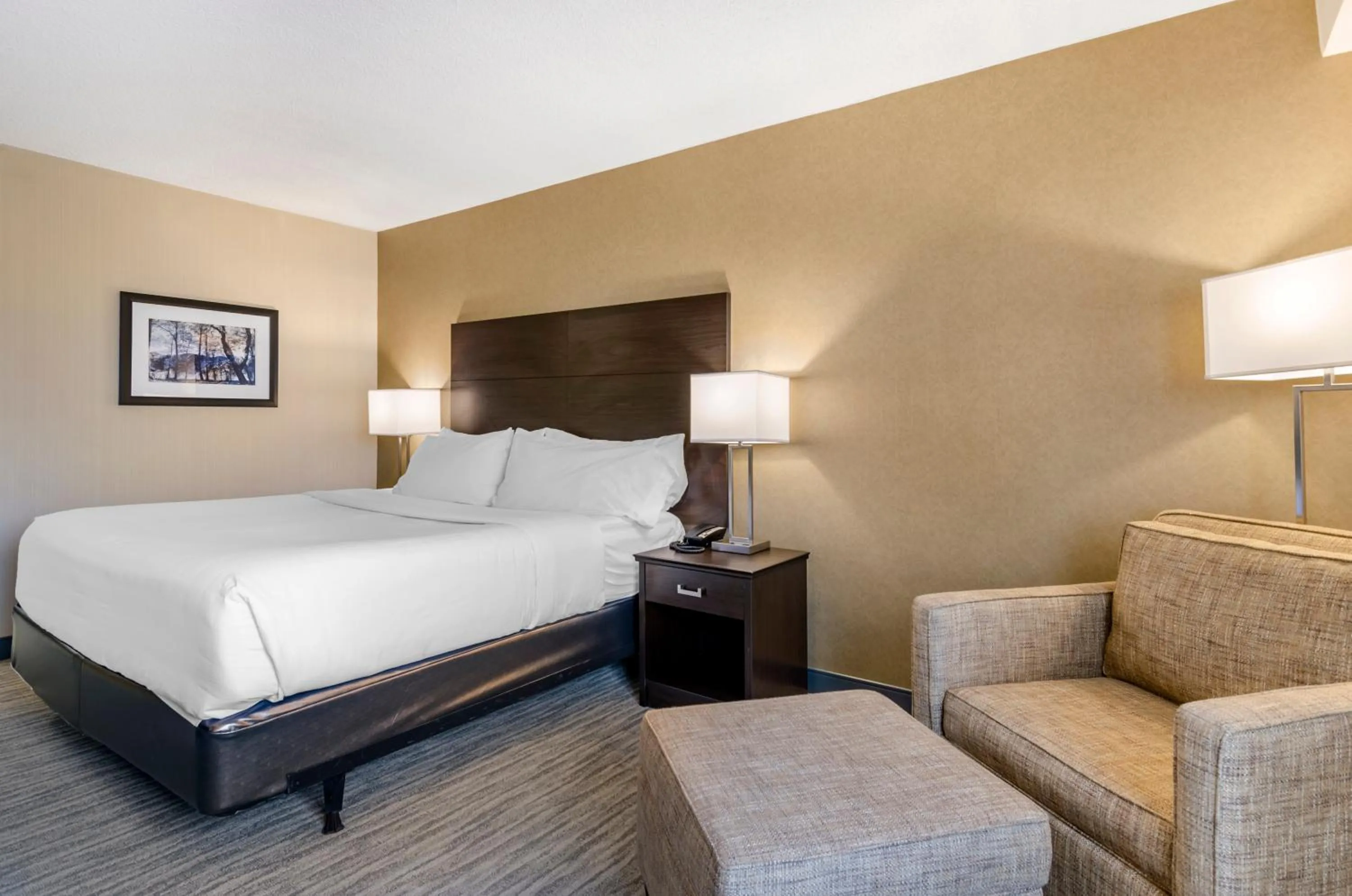 King Room - single occupancy in The Capitol Hotel