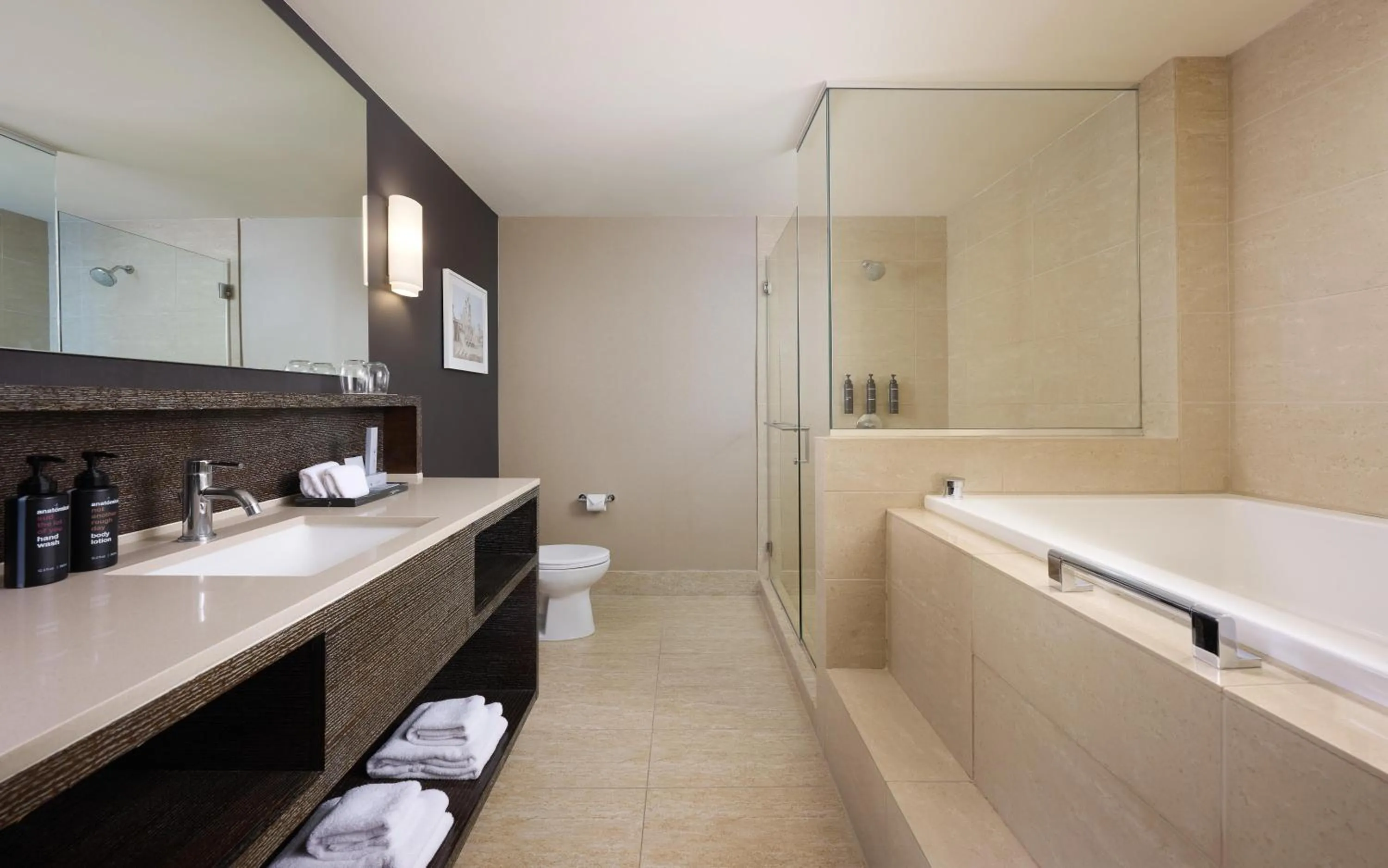 Junior King Suite with Spa Bath in The Royal Sonesta Chicago River North