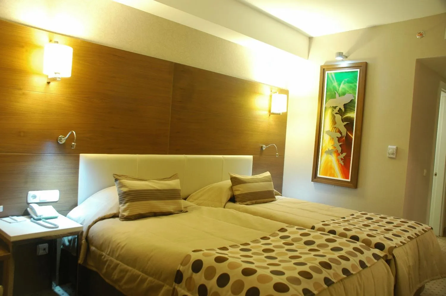Standard Single Room in Alba Hotel