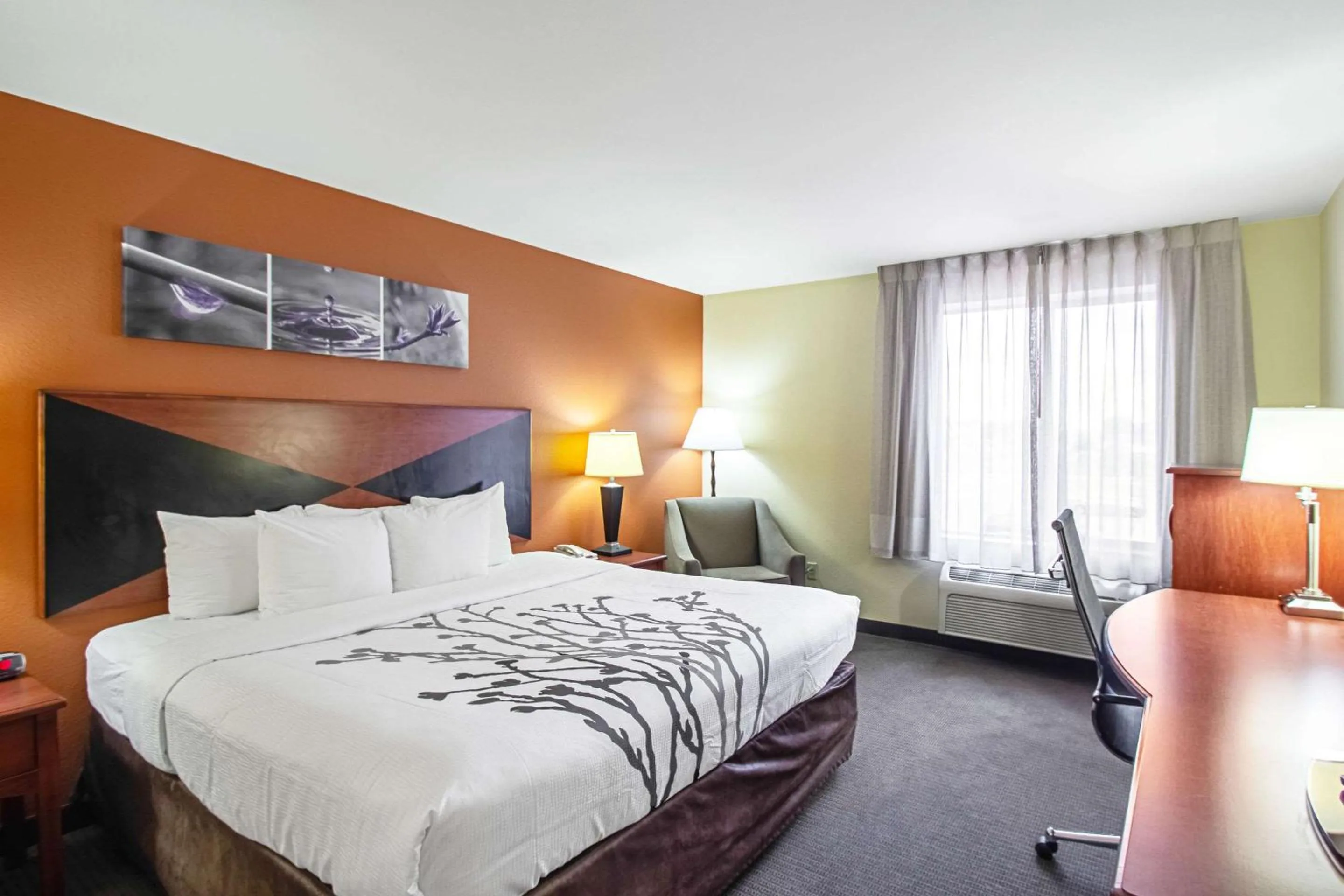 King Room in Sleep Inn & Suites Madison - Monona