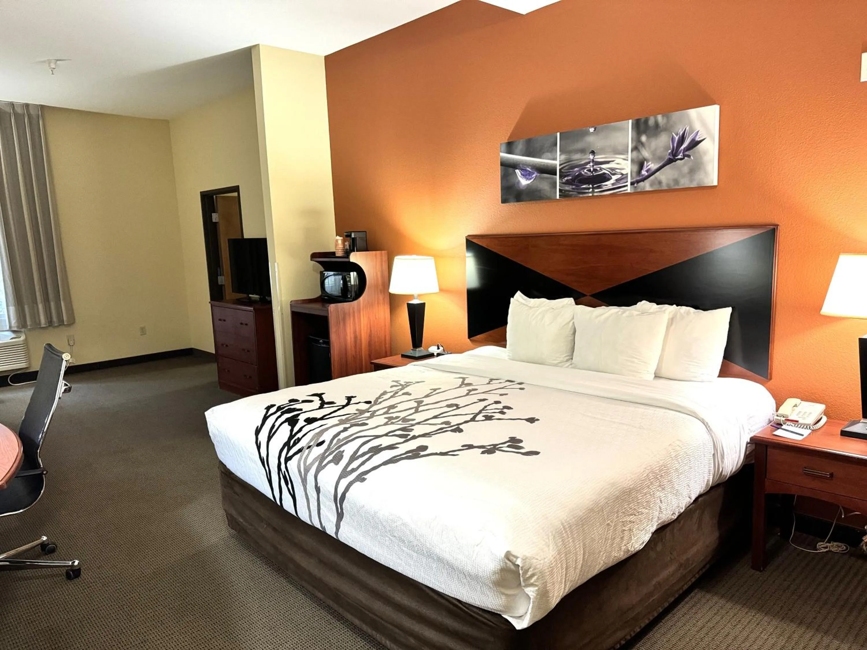 King Suite - Accessible/Non-Smoking in Sleep Inn & Suites Madison - Monona