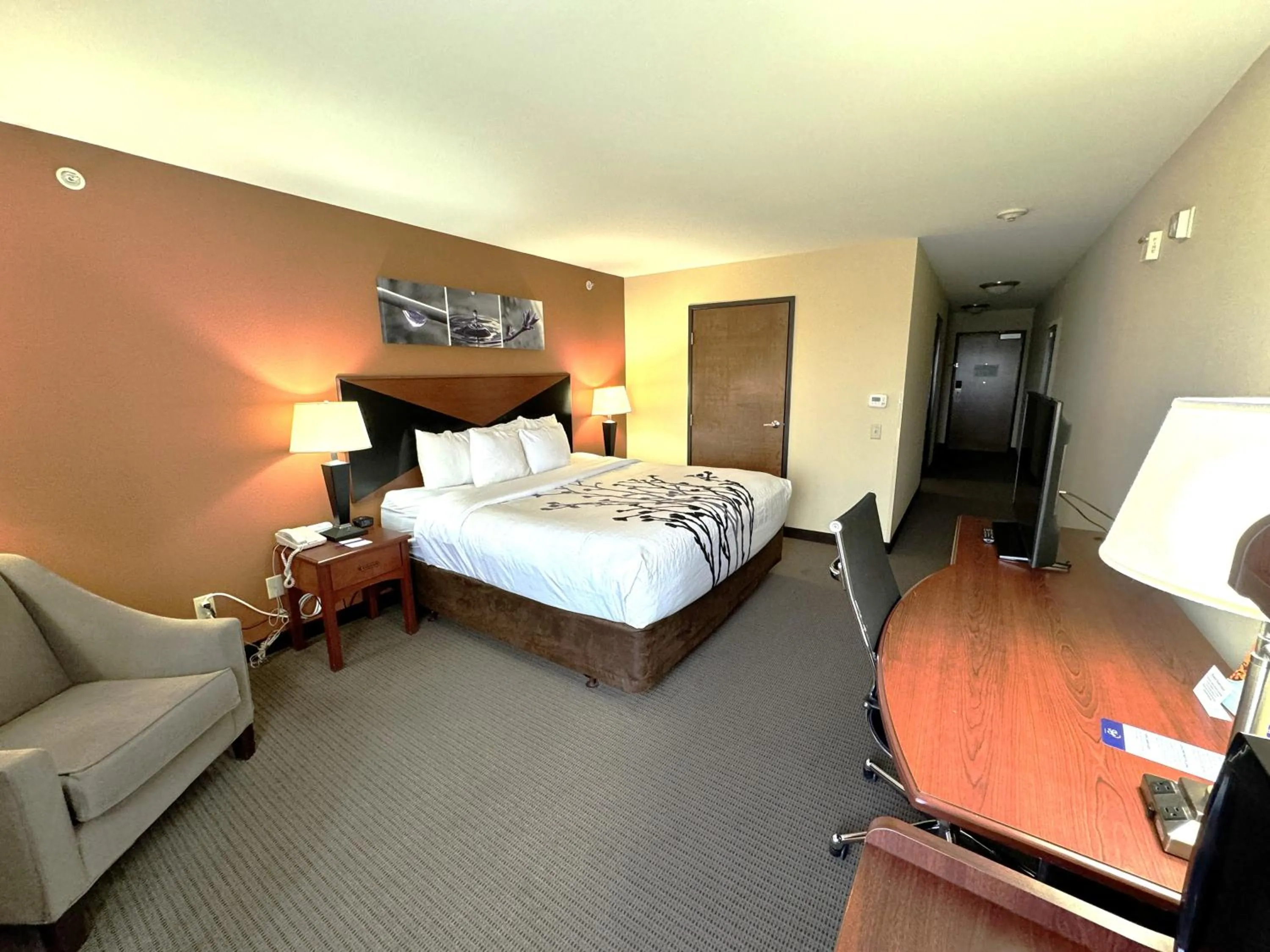 King Room - Accessible/Non-Smoking in Sleep Inn & Suites Madison - Monona