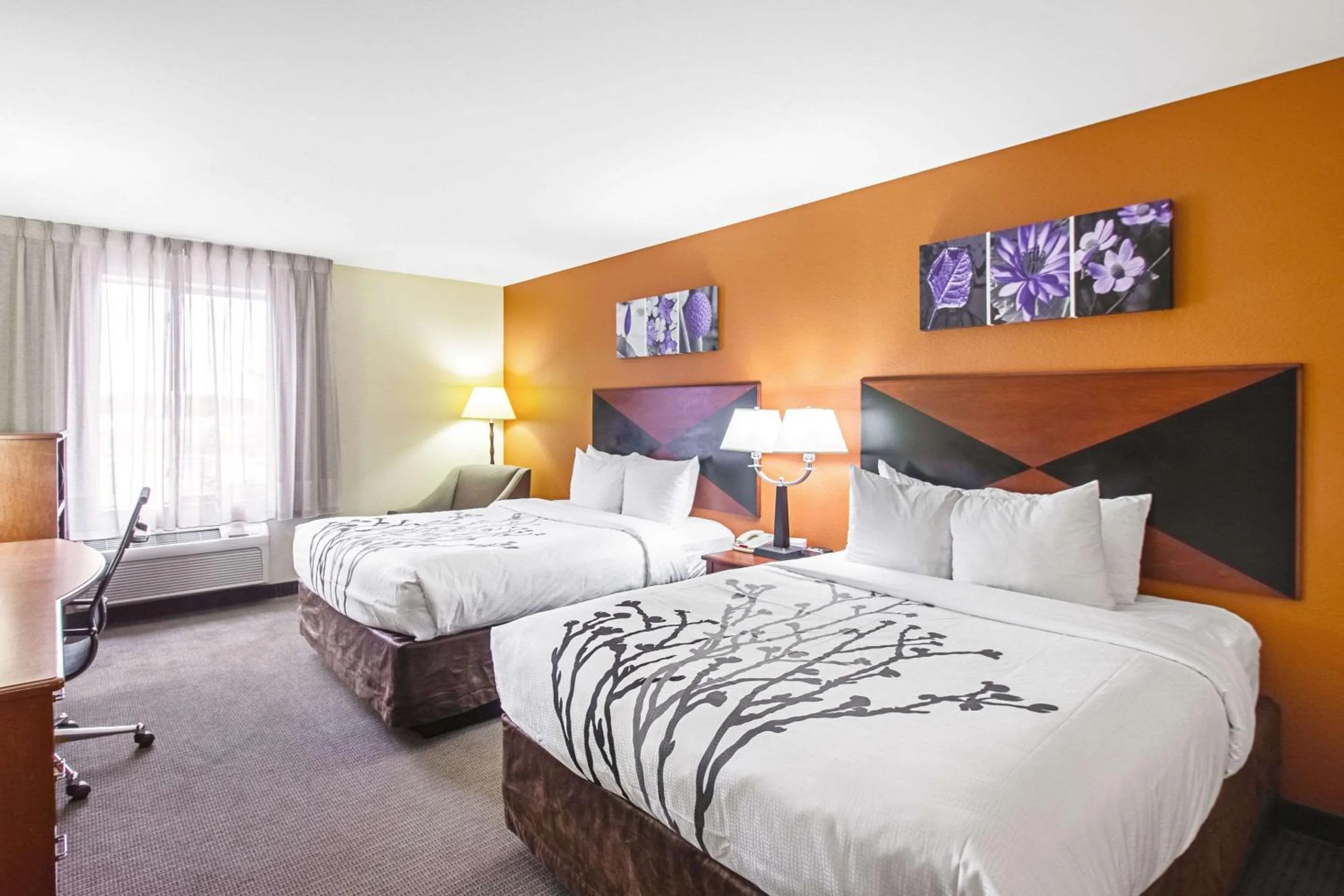 Queen Room in Sleep Inn & Suites Madison - Monona