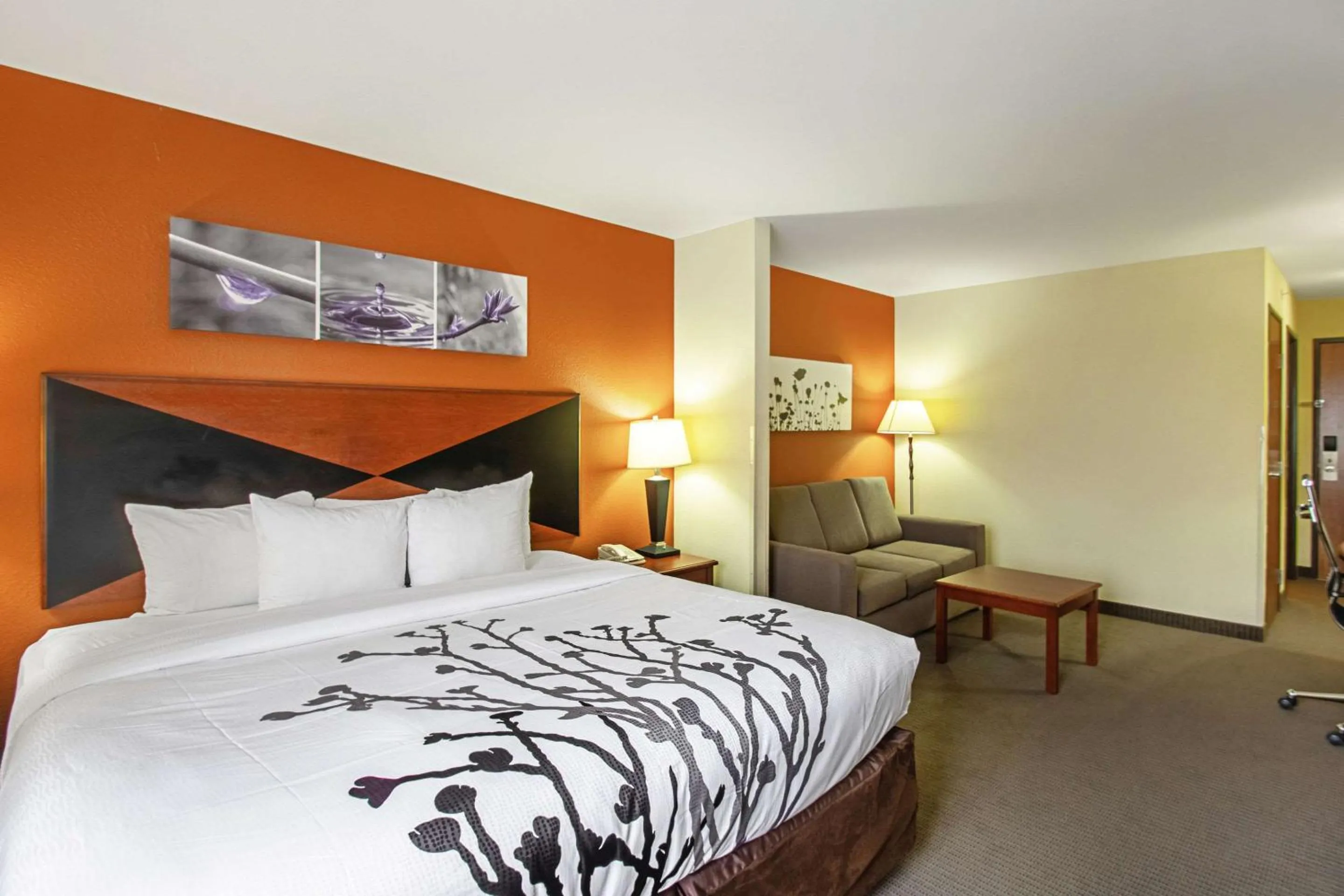 Suite in Sleep Inn & Suites Madison - Monona
