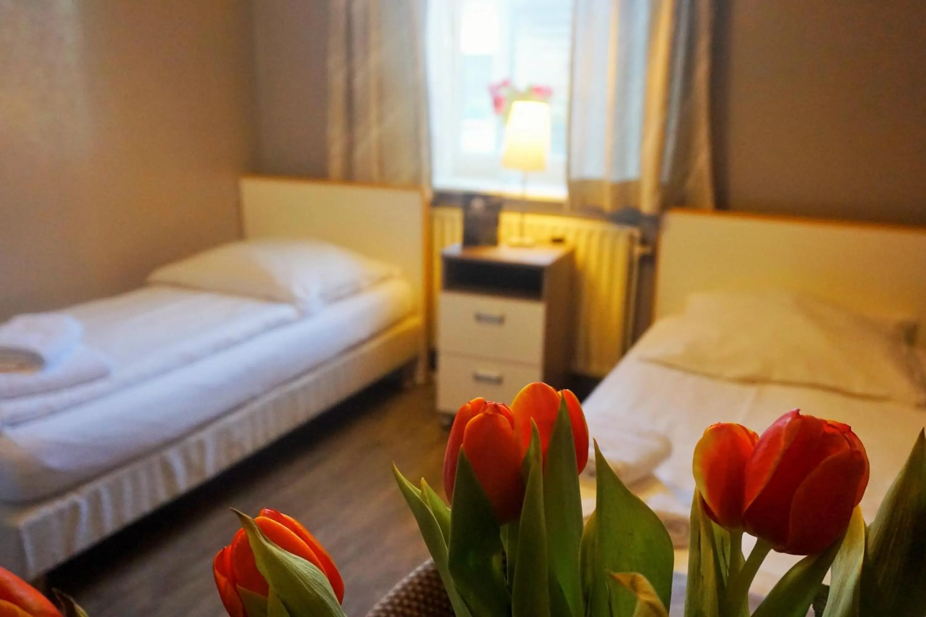 Budget Double Room - single occupancy in Pharos zur Seeve