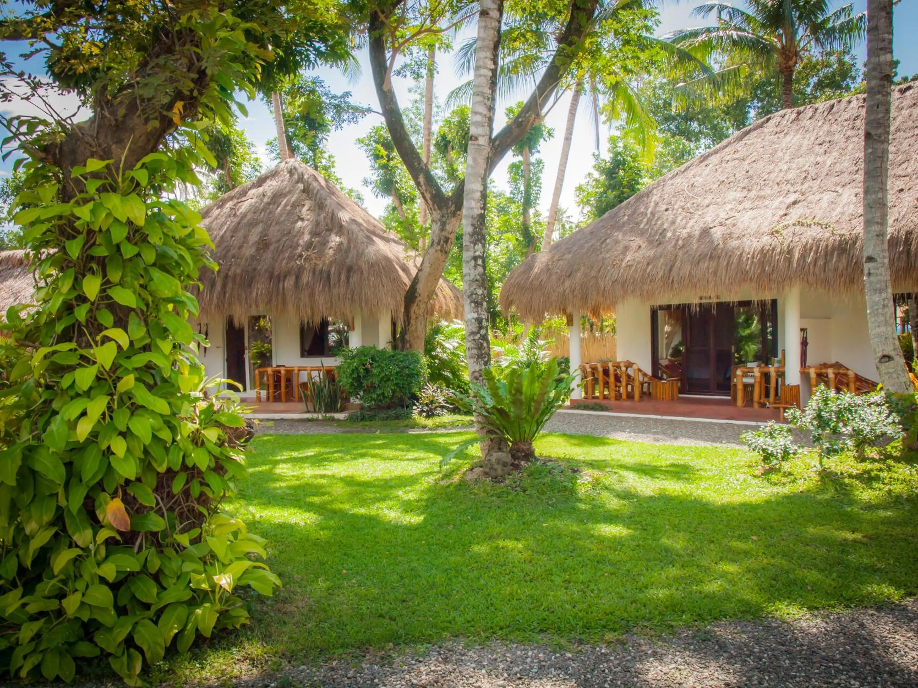 Deluxe Double Room in Pura Vida Beach & Dive Resort
