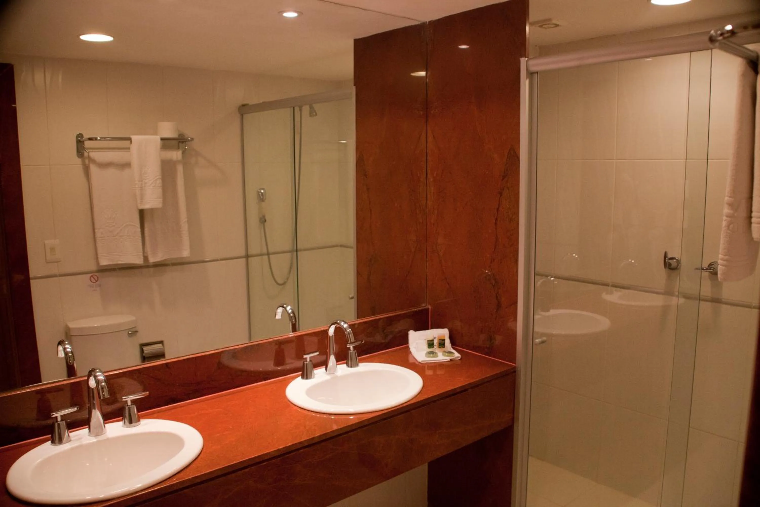 Quarto Executivo - single occupancy in Royal Macaé Palace Hotel