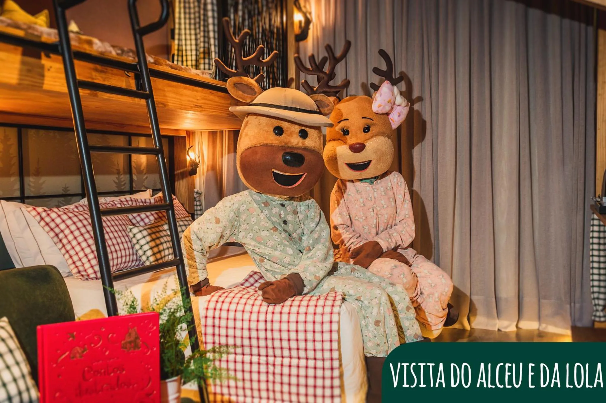 Room do Alceu e da Lola in Hotel Alpestre