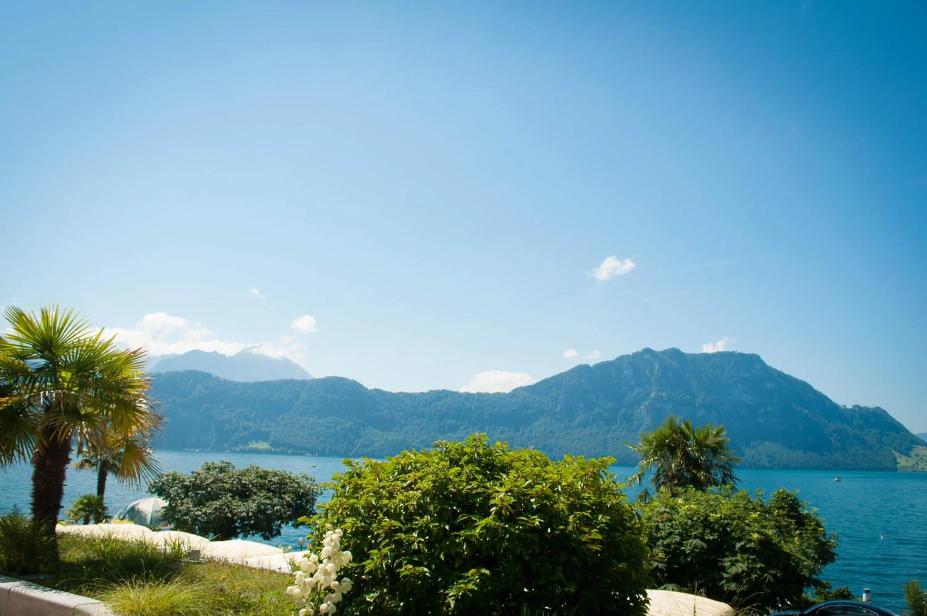 Double Room with Lake View in Hotel Beau Rivage Weggis