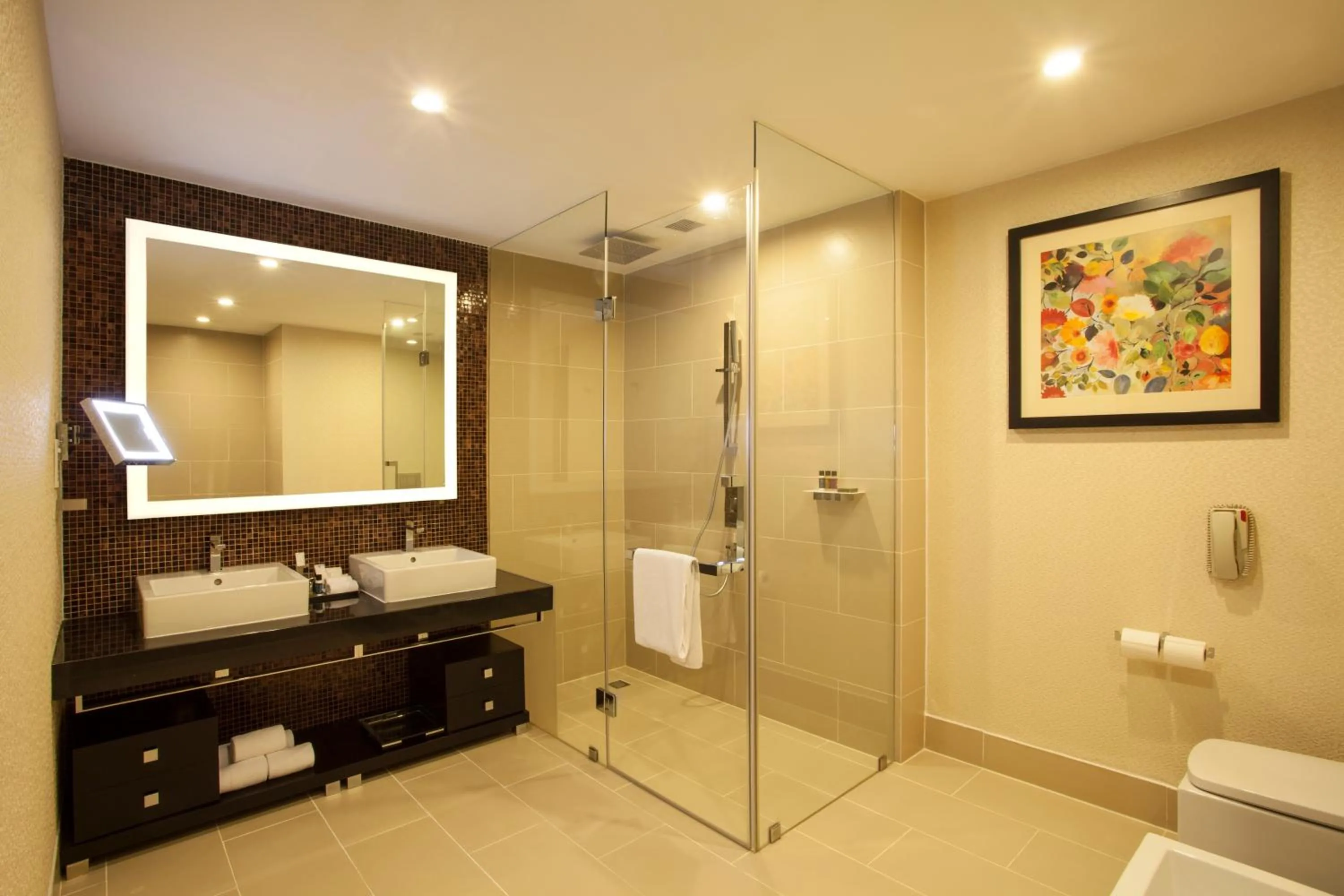 Executive Suite in The Oterra