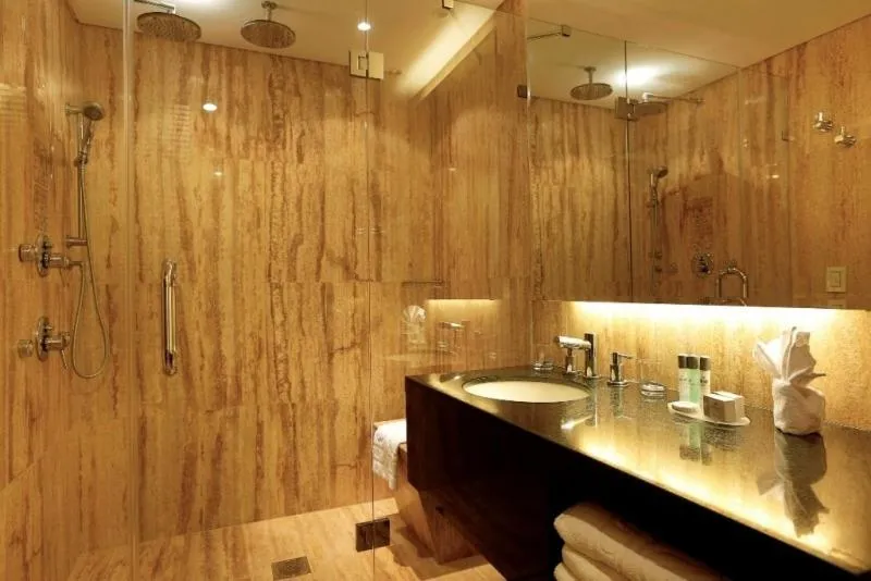 Double Room - single occupancy in Eurobuilding Express Maiquetía