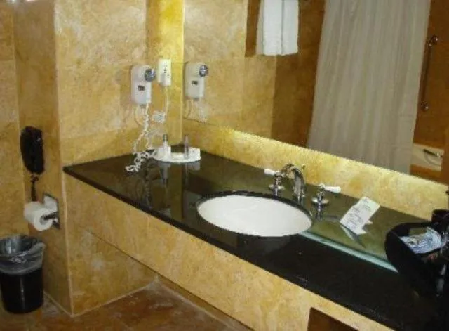 Standard  Room - single occupancy in Eurobuilding Express Maiquetía