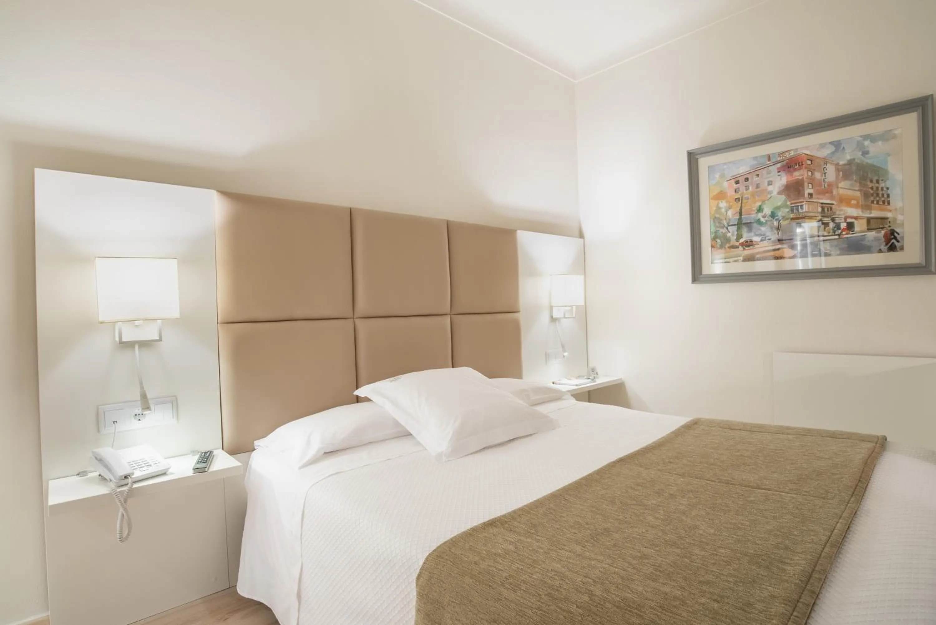 Single Room in Hotel Pirineos