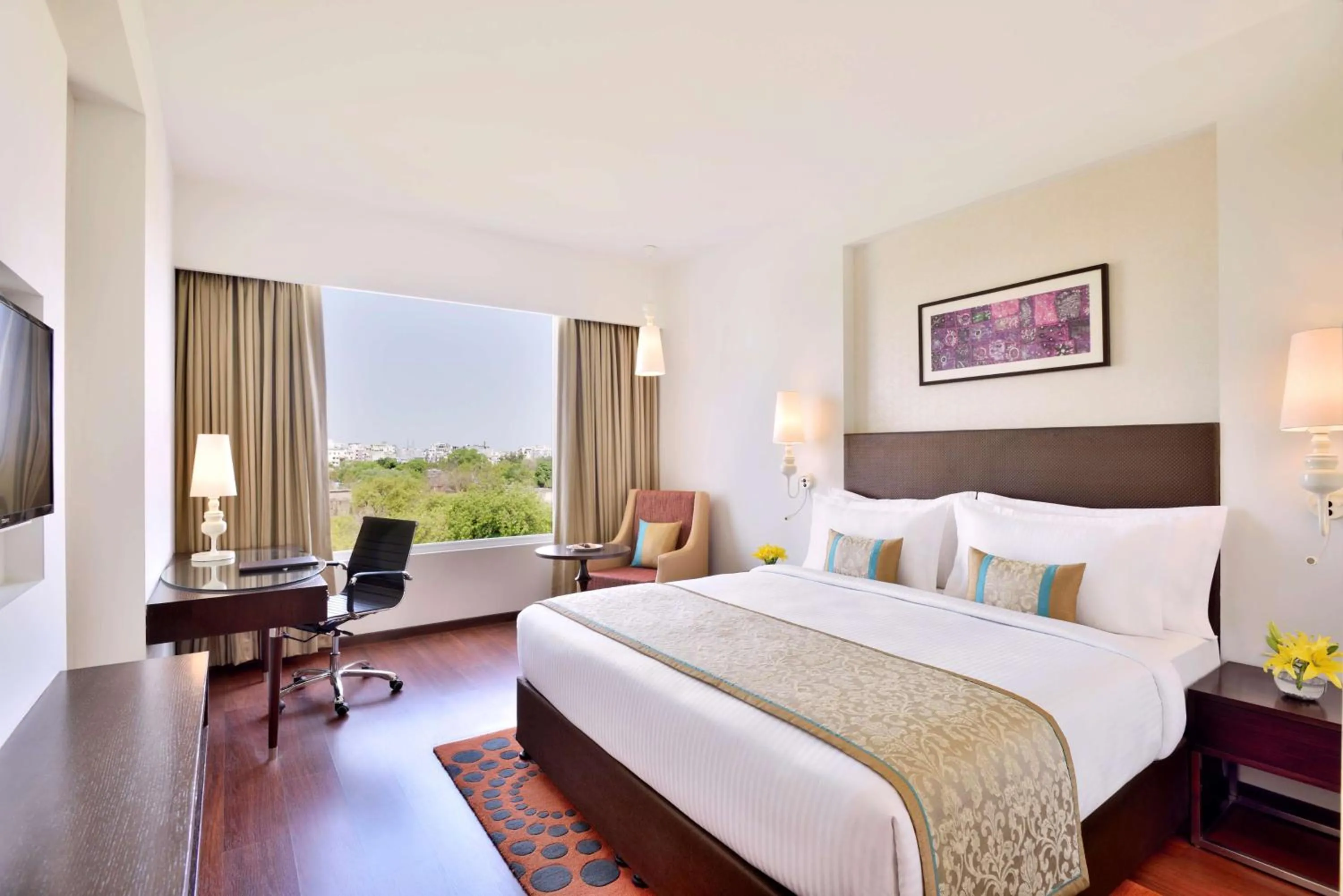 Superior Room with City View - single occupancy in Country Inn & Suites by Radisson Kota