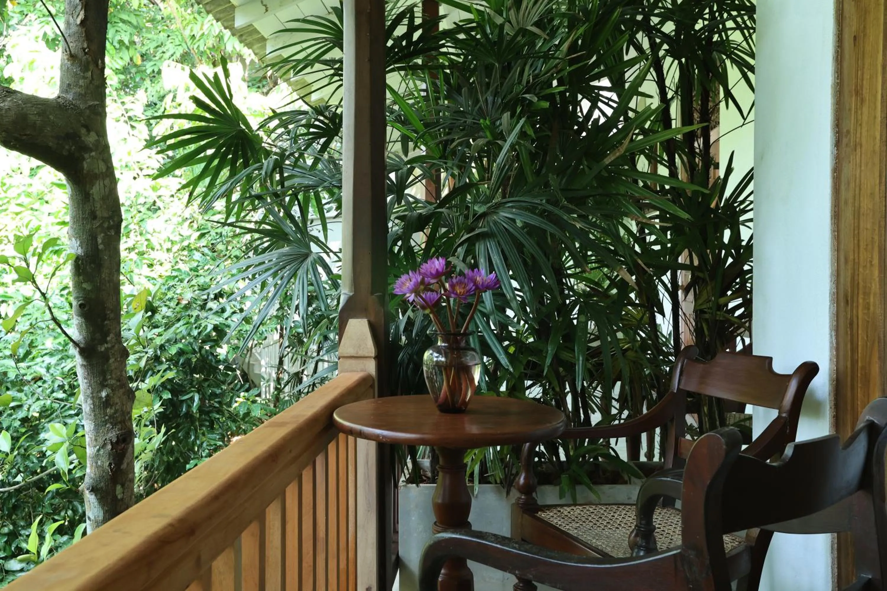 Small Double Room - single occupancy in Ceylon Olive Galle