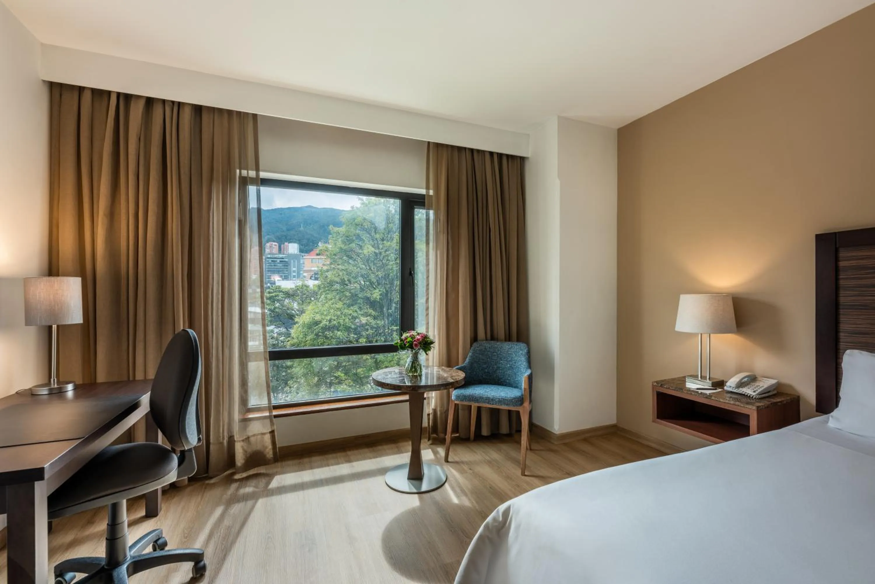 Junior Suite in Hotel Morrison Zona Rosa