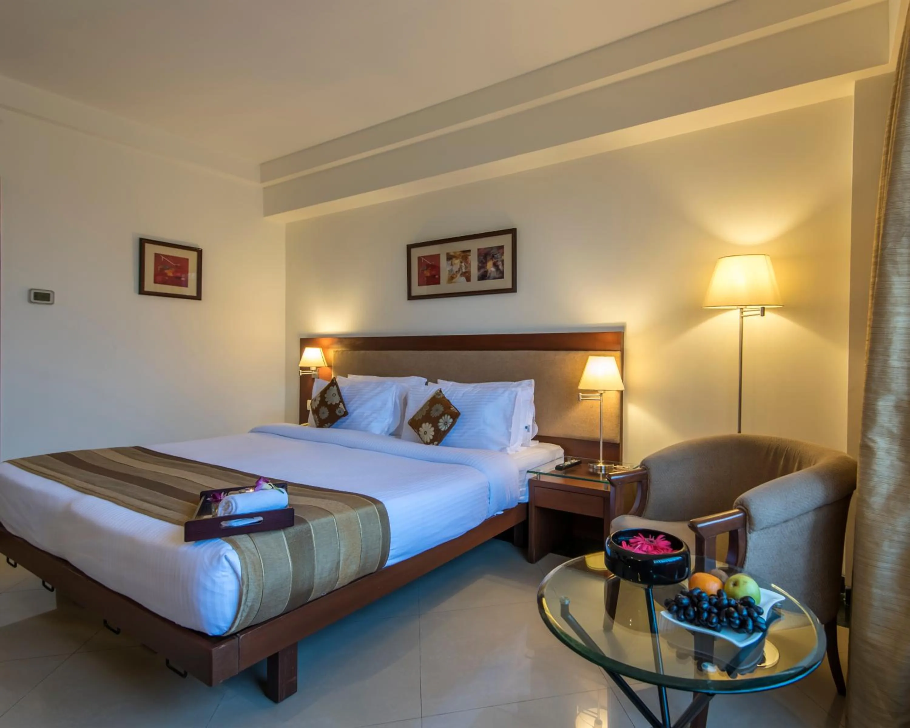 Deluxe Double or Twin Bed - single occupancy in Park Ornate Hotel Viman Nagar
