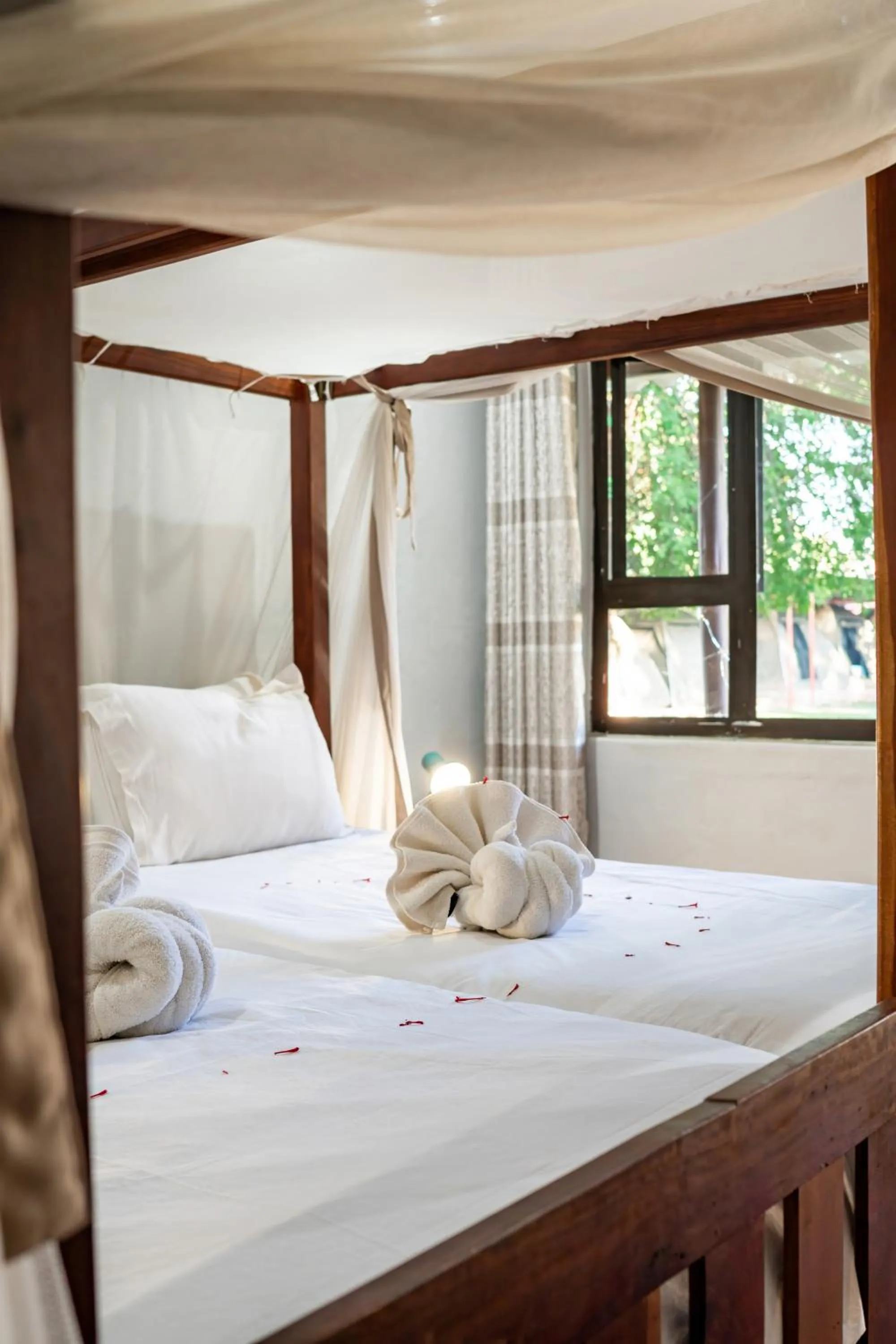 Double or Twin Room - single occupancy in Shoestrings Backpackers Lodge Vic Falls