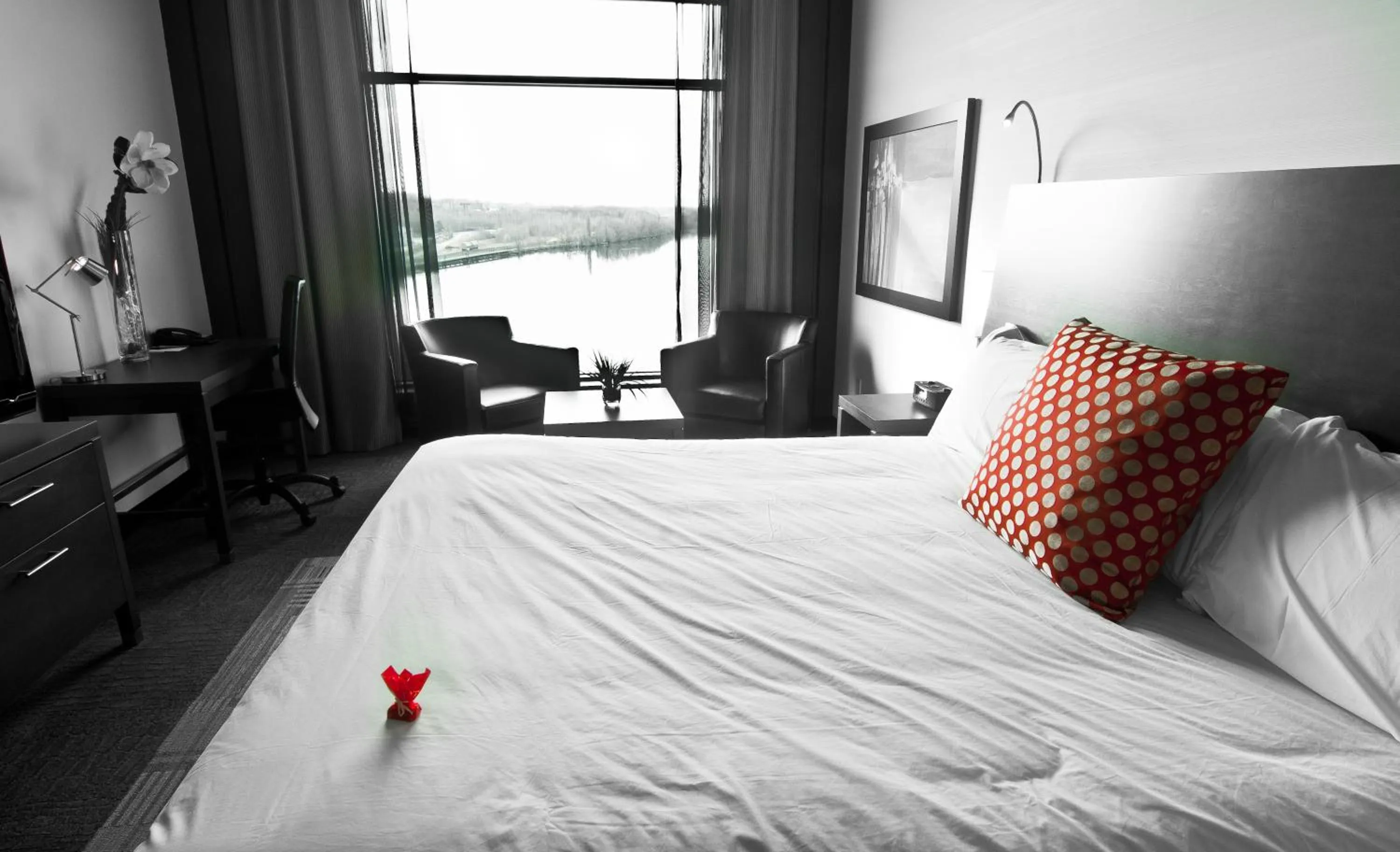 Deluxe King Room - single occupancy in Grand Hotel Times Sherbrooke