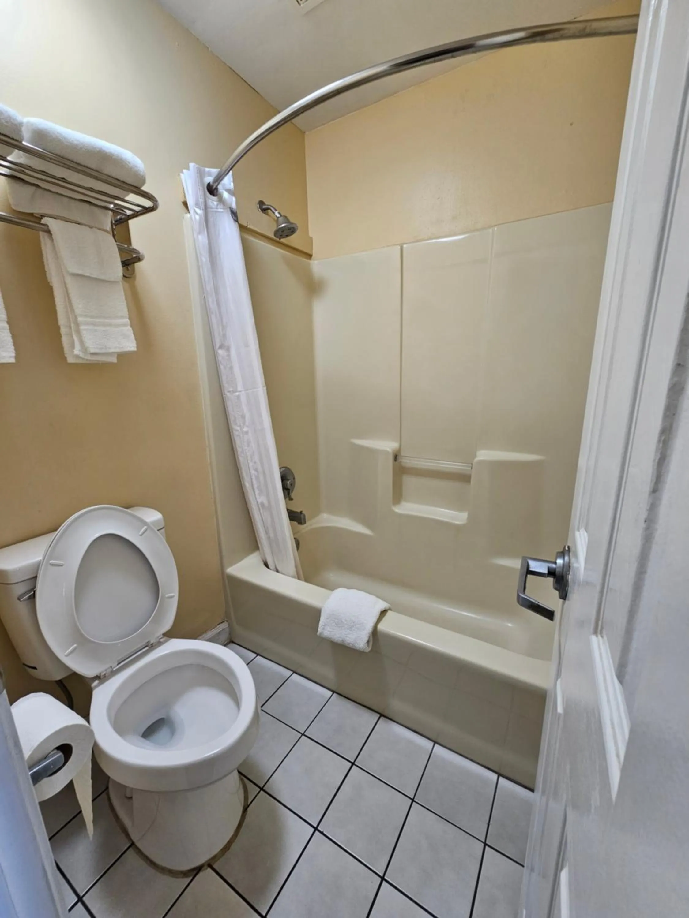 One King Bed Non Smoking in Jameson Inn Douglas