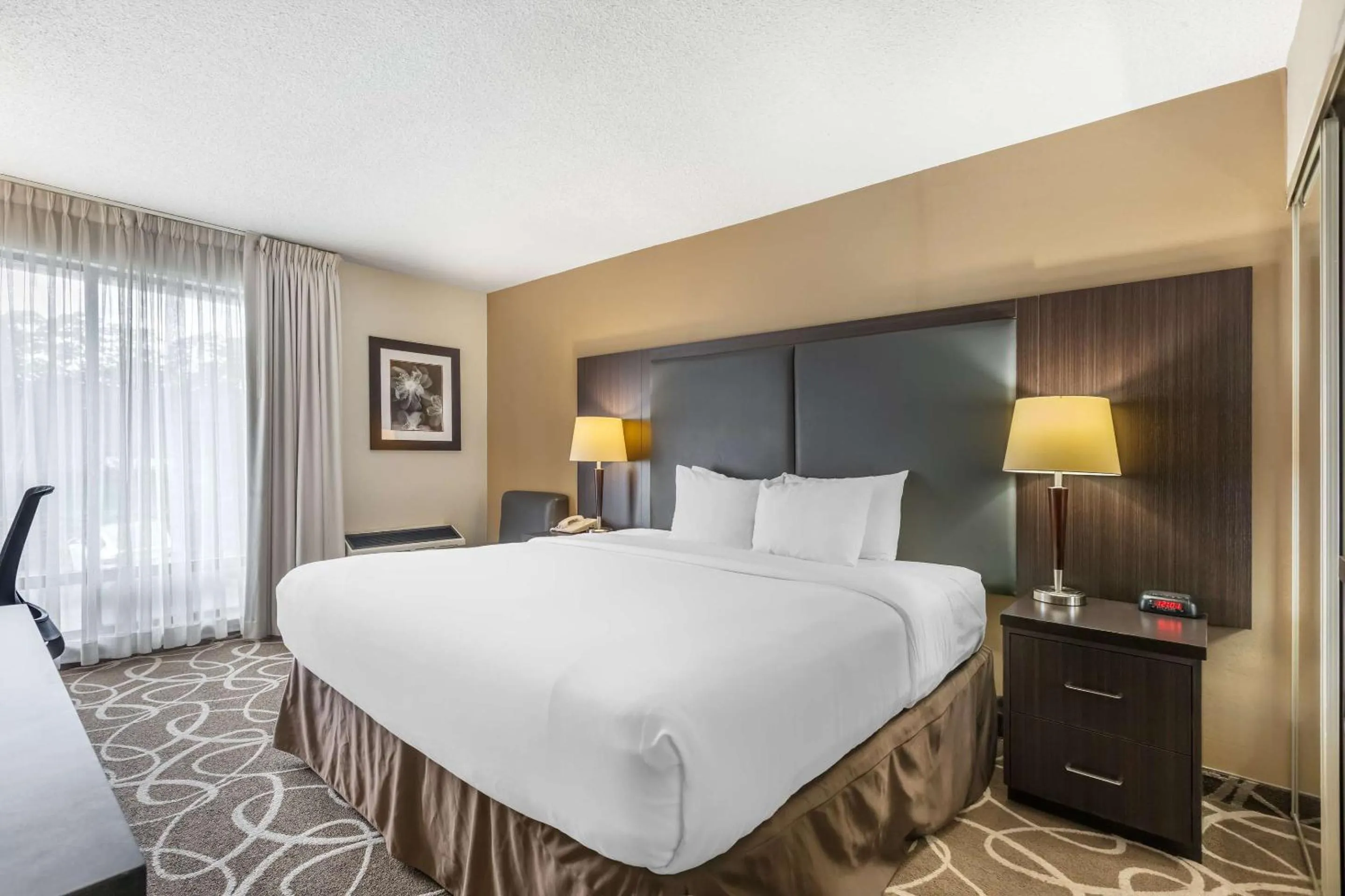 Standard King Room - Top Floor in Comfort Inn