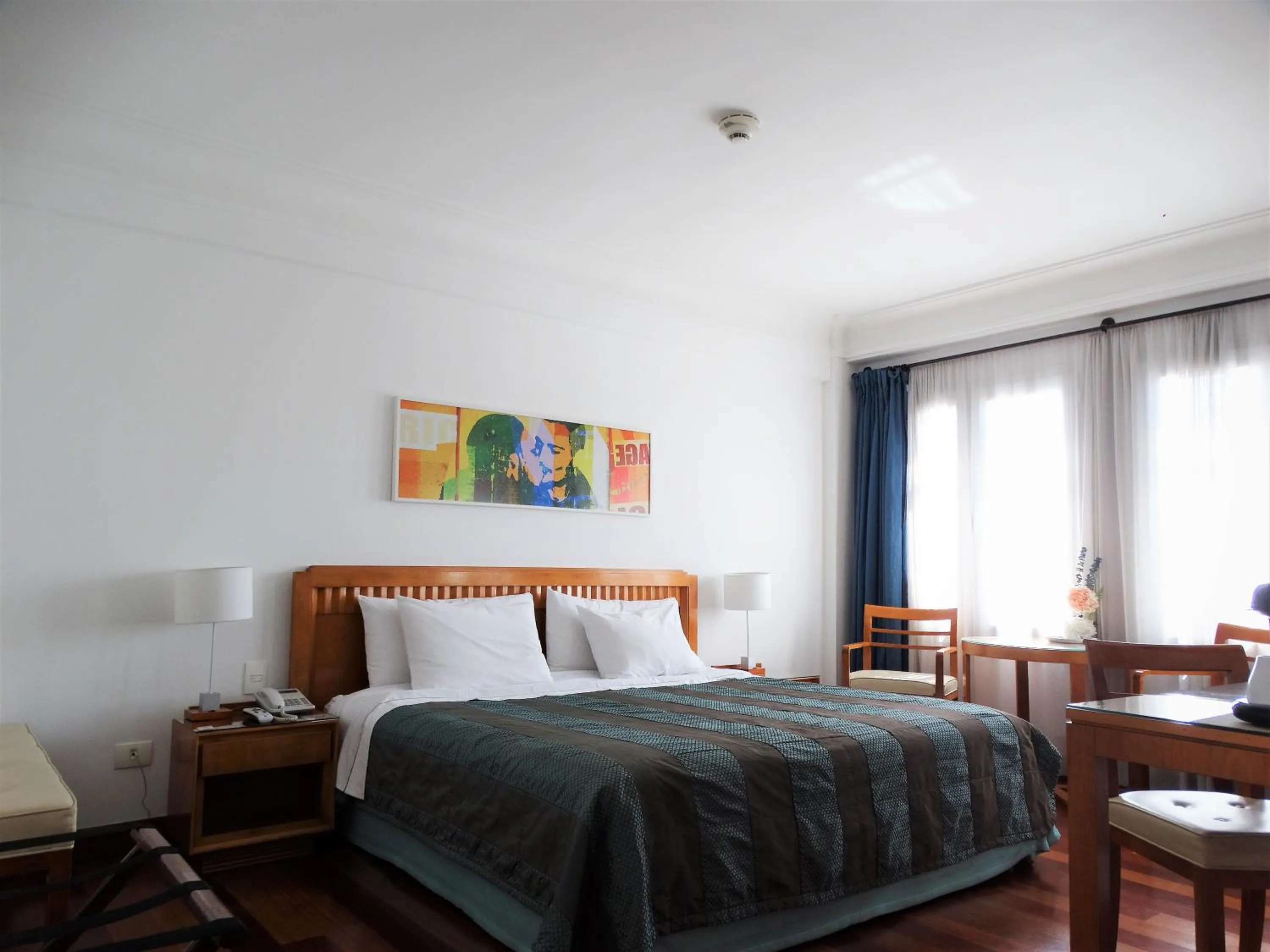 Standard Double Room in Hotel De La Opera