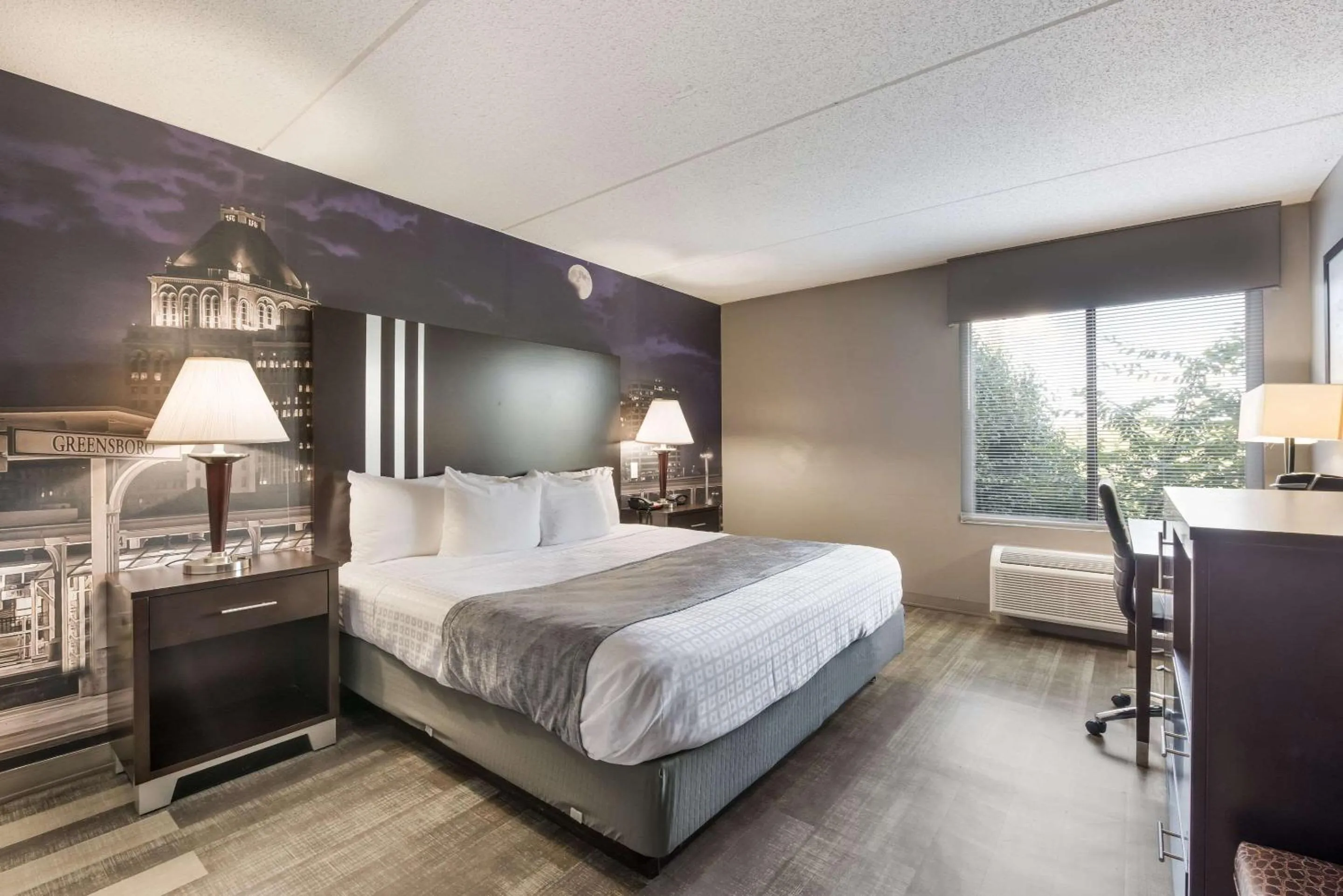 King Room - Accessible/Non-Smoking in Clarion Pointe Greensboro Airport