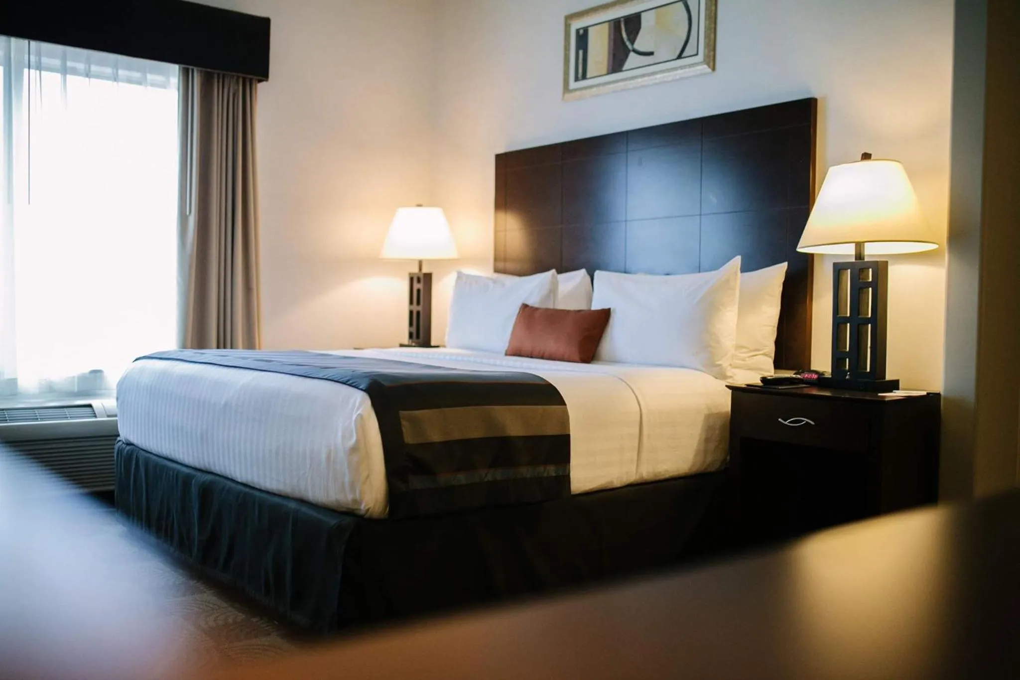 Deluxe King Room - Non-Smoking in Wingate by Wyndham Tinley Park