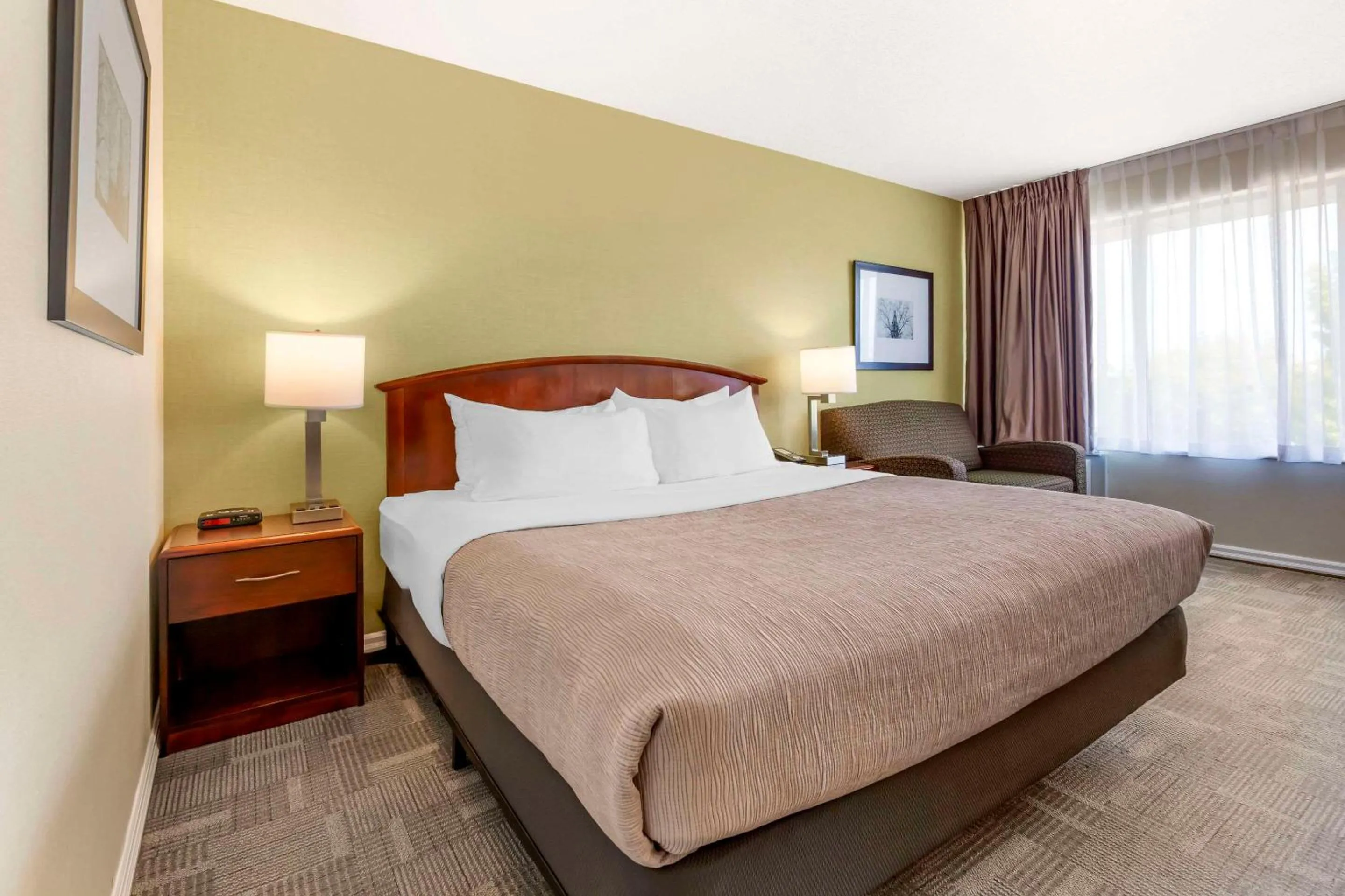 Standard King Room - Non-Smoking  in Quality Inn