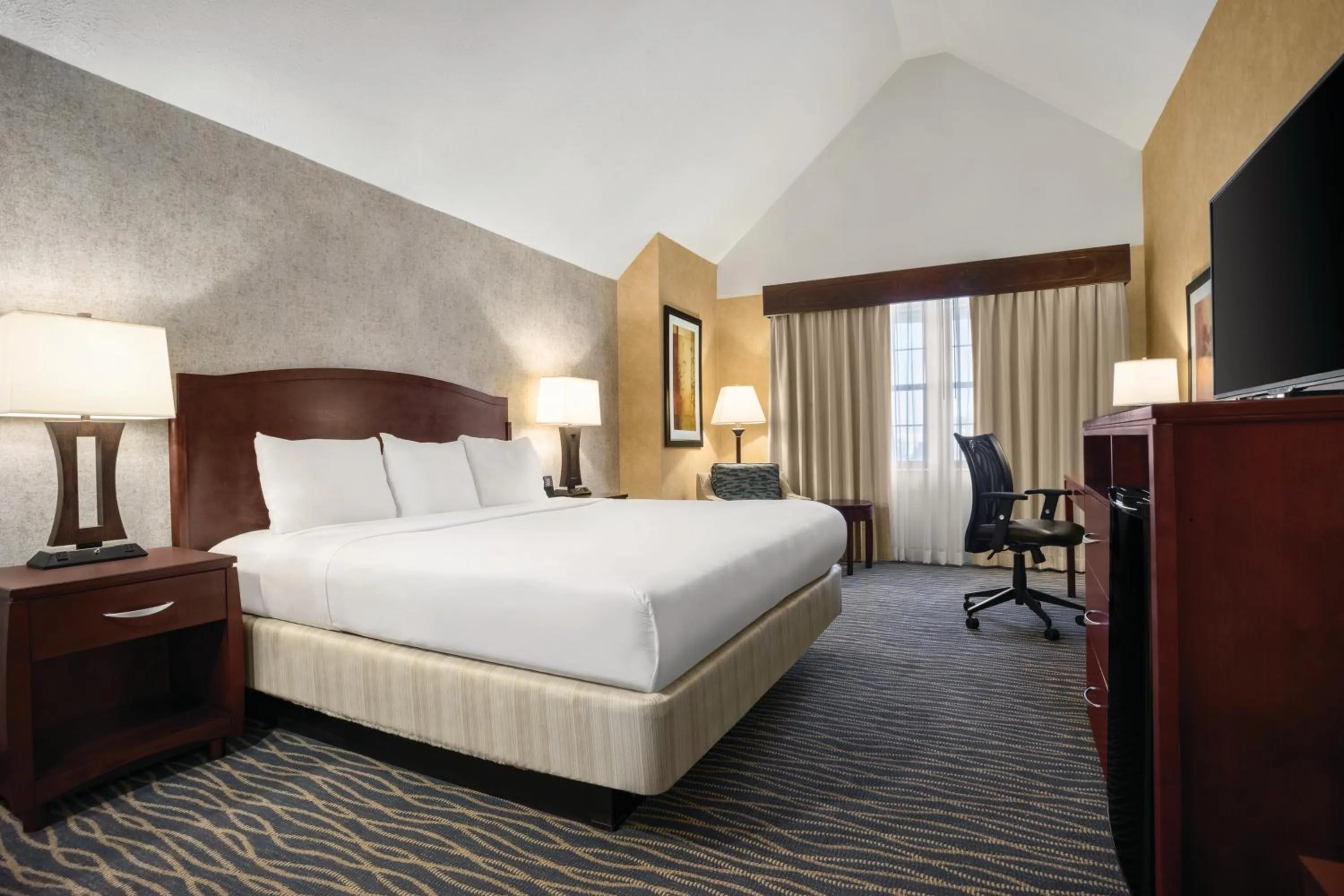 Executive Premium King Room - Non-Smoking in Radisson Hotel Salt Lake City Airport