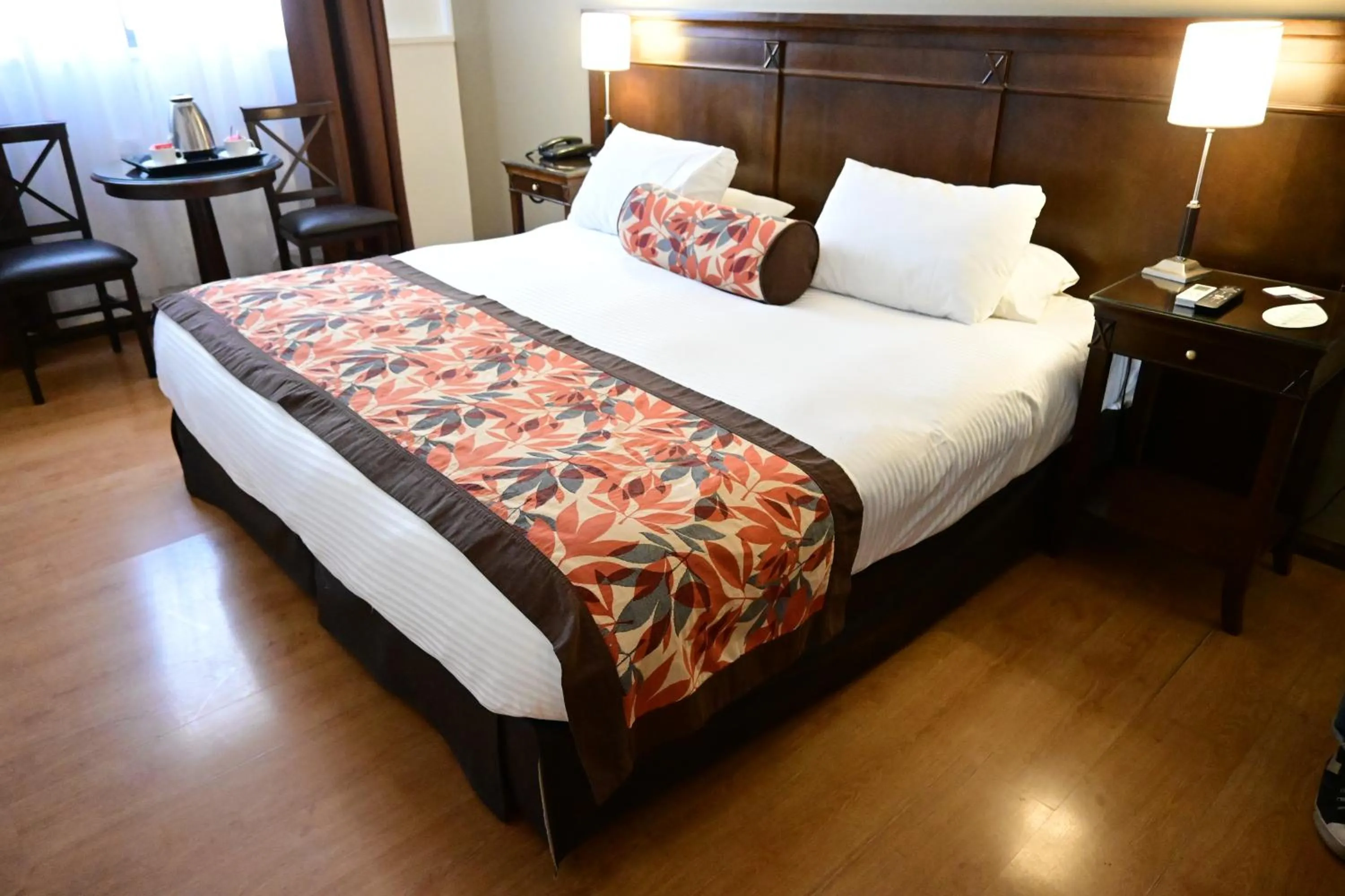 Superior Double Room in Hotel Mendoza