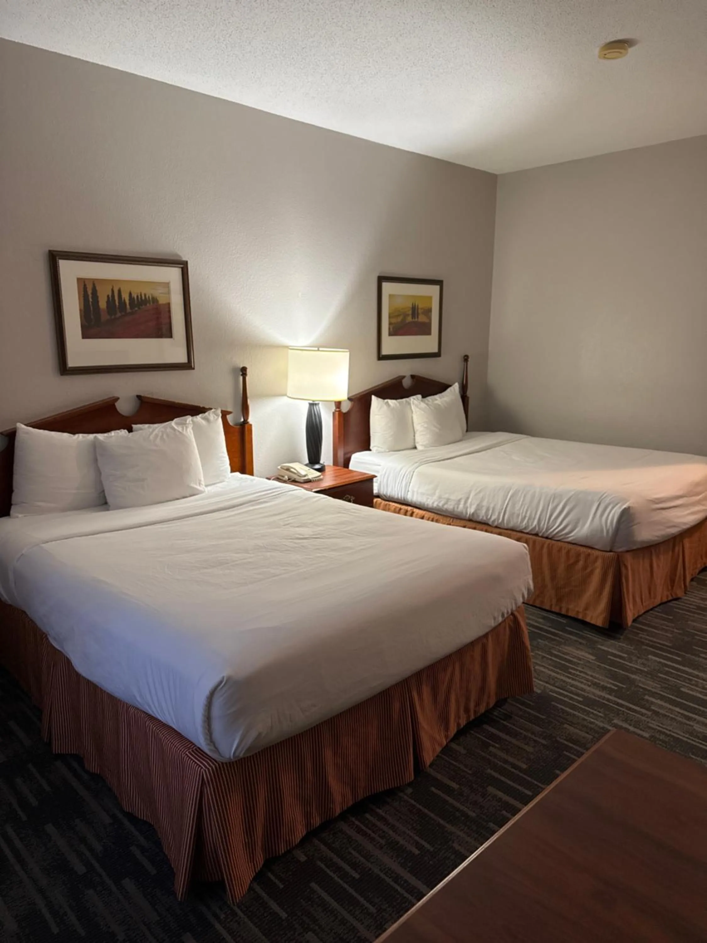 Queen Suite with Two Queen Beds - Non-Smoking in Country Inn & Suites by Radisson, Elgin, IL