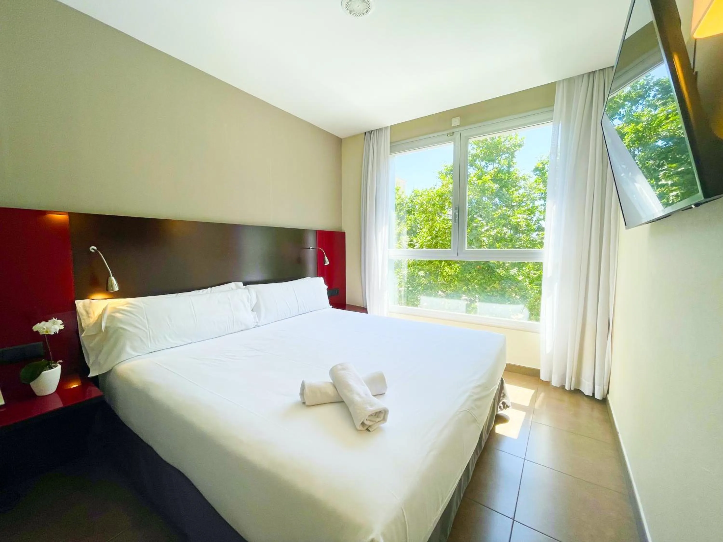 Single Room in SM Hotel Teatre Auditori