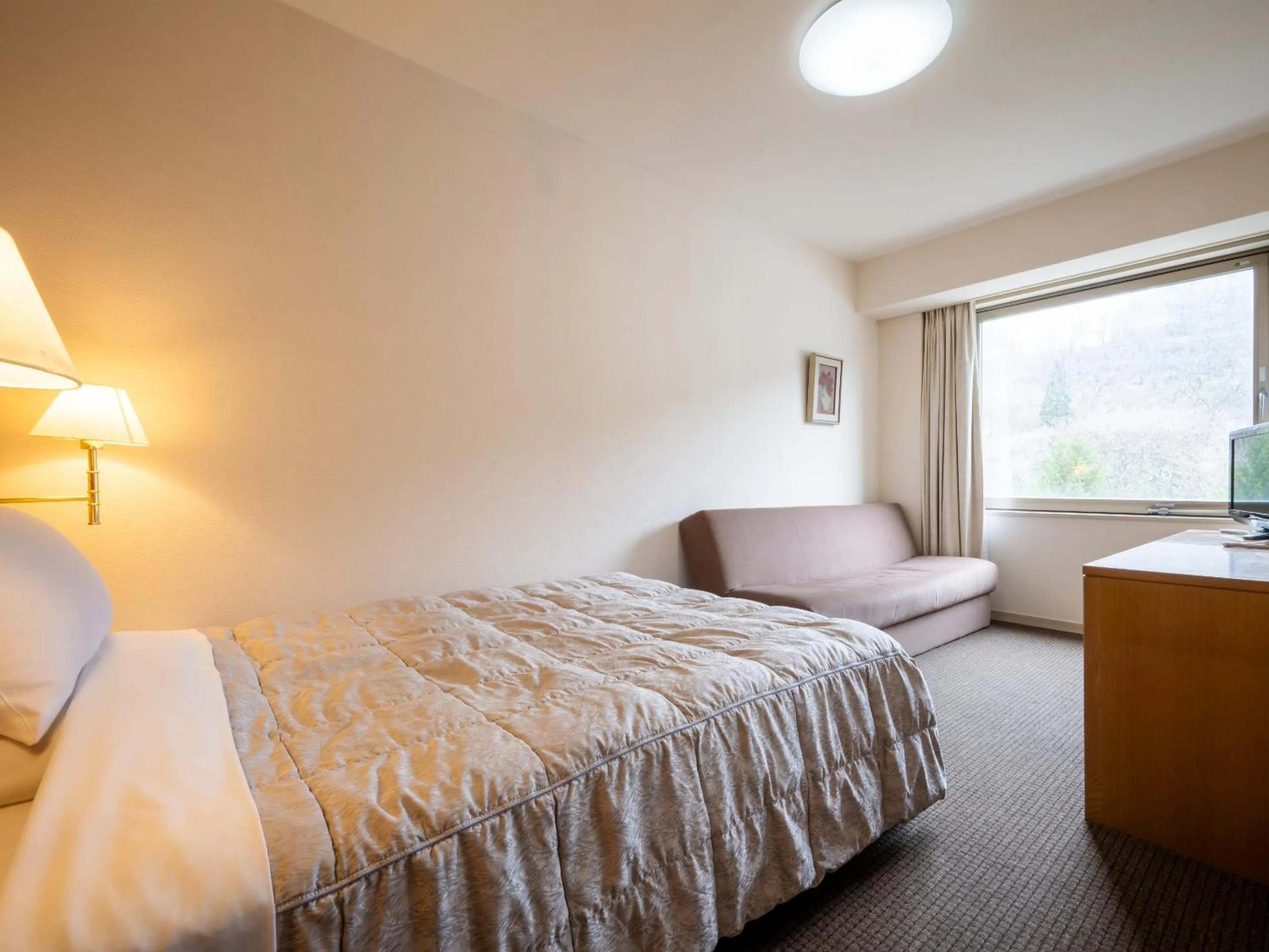 Standard Single Room in Hotel Kazuno