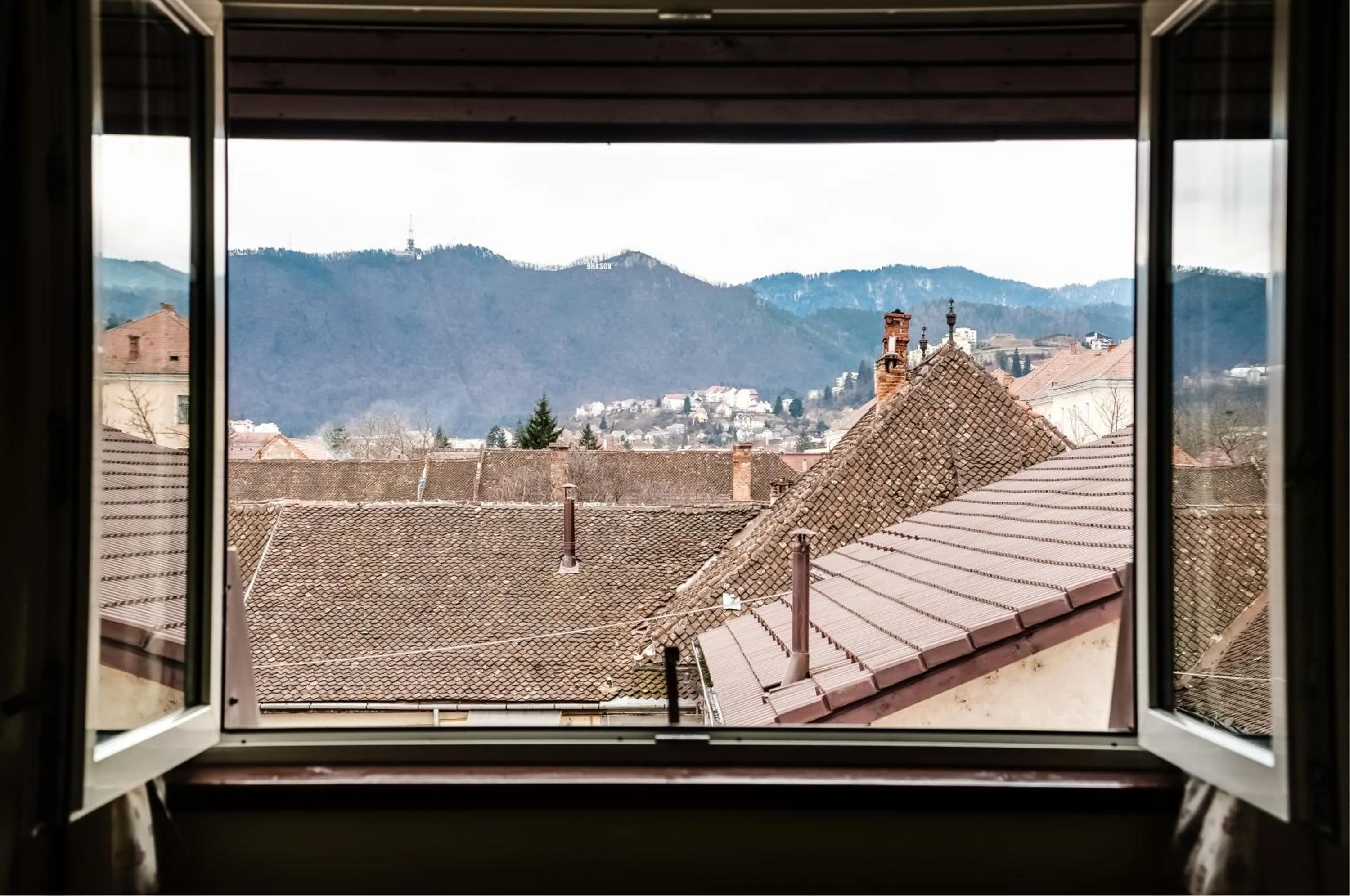 Double Room in Pensiunea Luiza