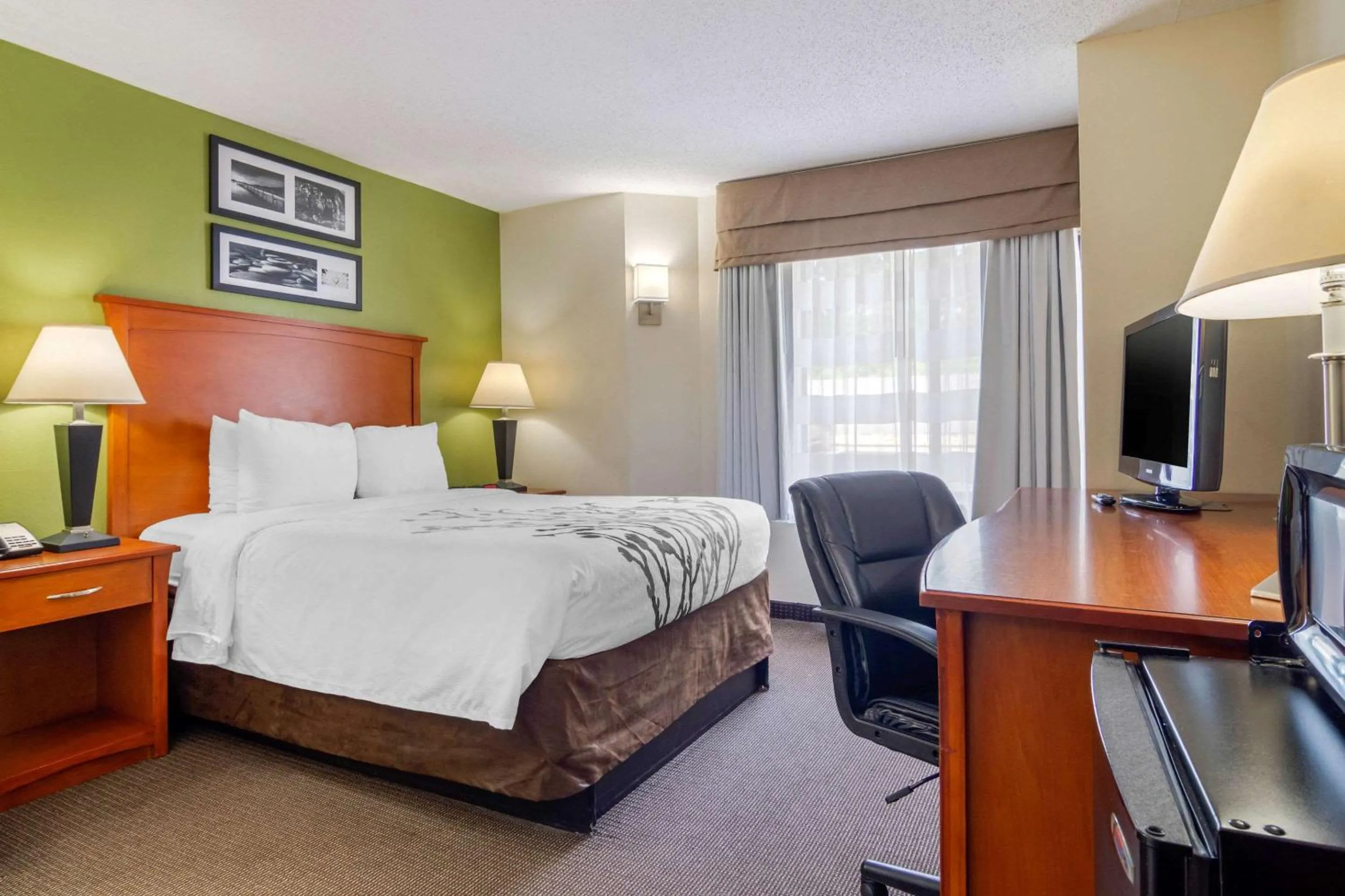 Queen Room - Non-Smoking in Sleep Inn Macon I-75