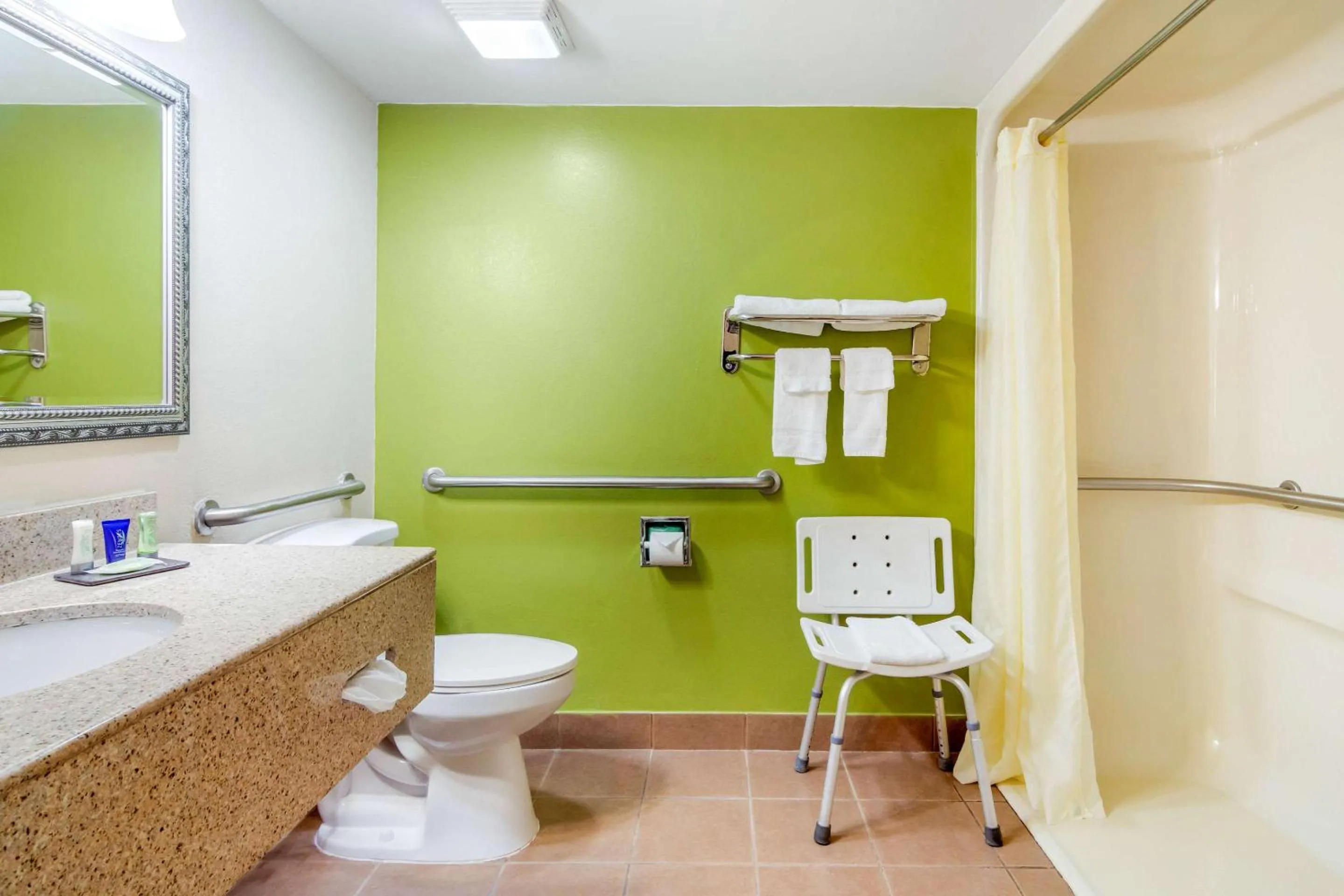 Queen Room with Roll-In Shower - Accessible/Non-Smoking/Pet Friendly  in Sleep Inn Macon I-75