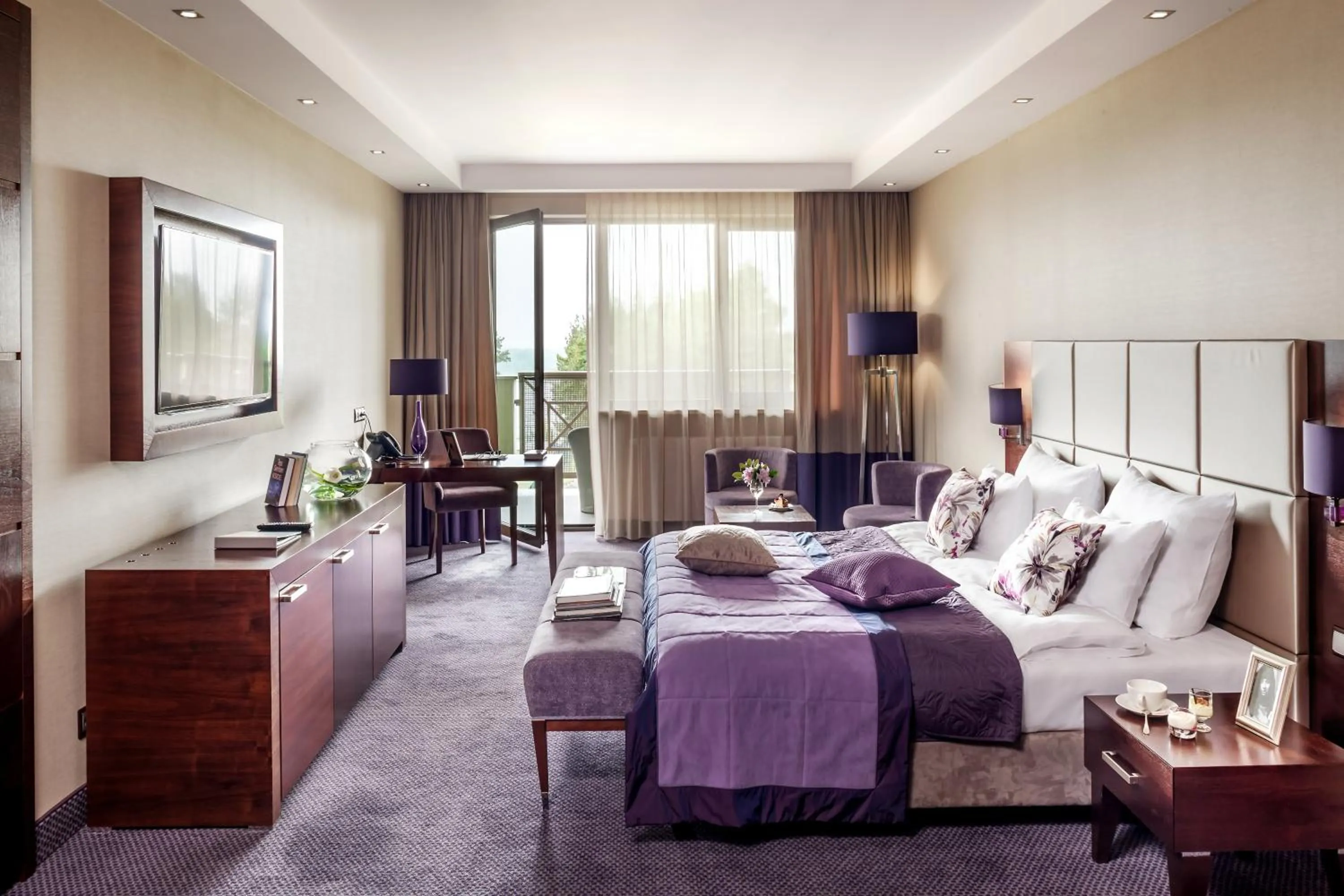 Senior Suite - single occupancy in Hotel Warszawianka