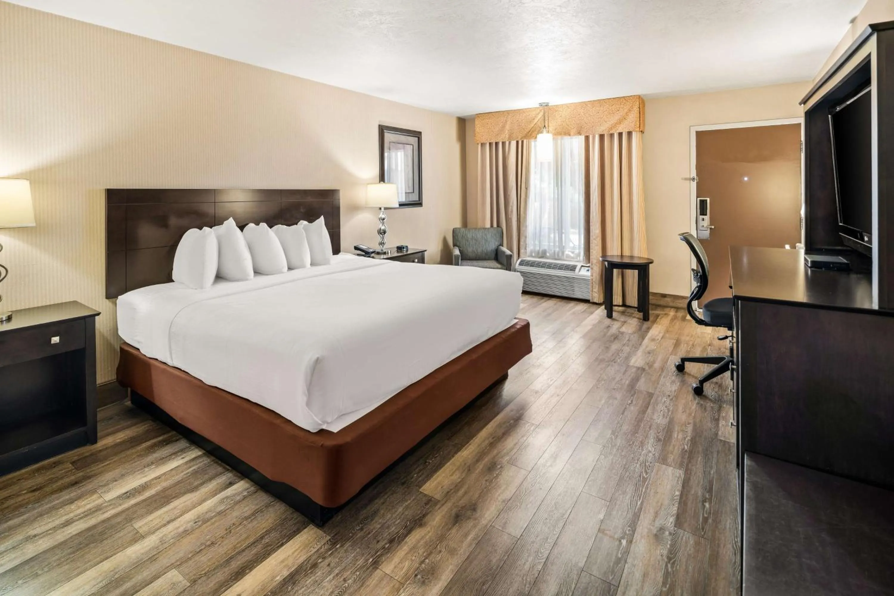 King Room - Pet Friendly in Best Western Coral Hills