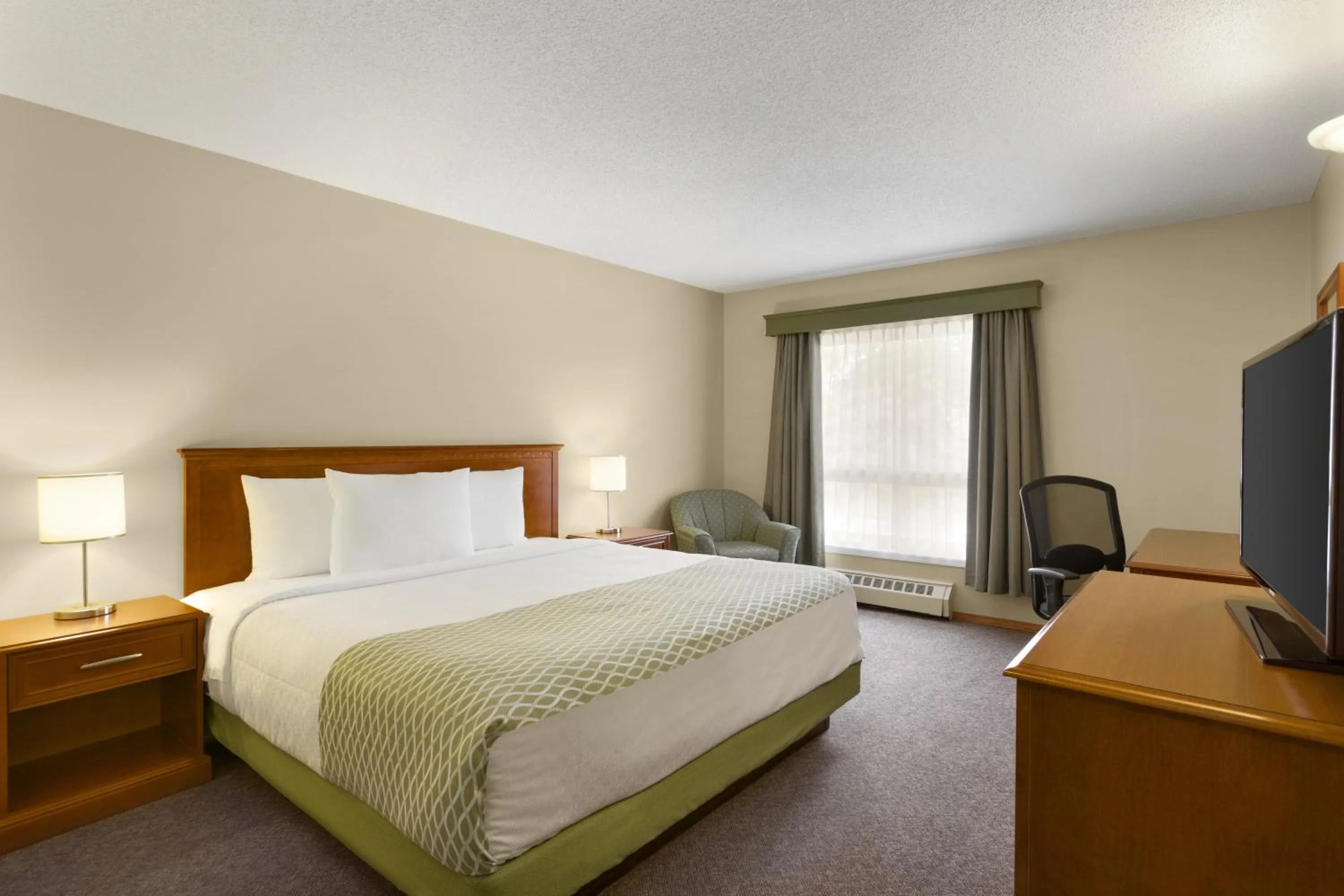Business King Room in Colonial Square Inn & Suites