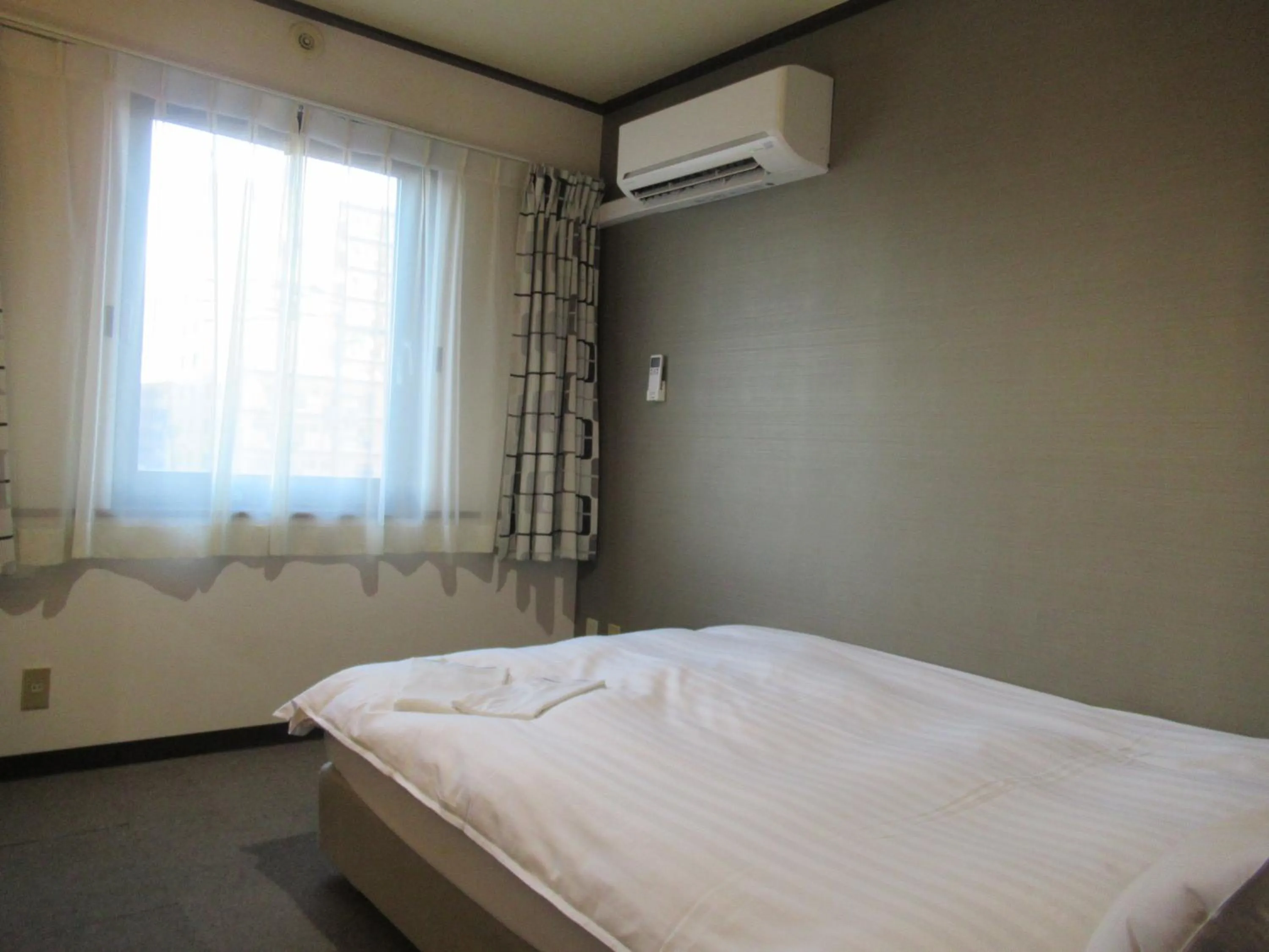 Single Room - Non-Smoking in Hotel Tomakomai Green Hills