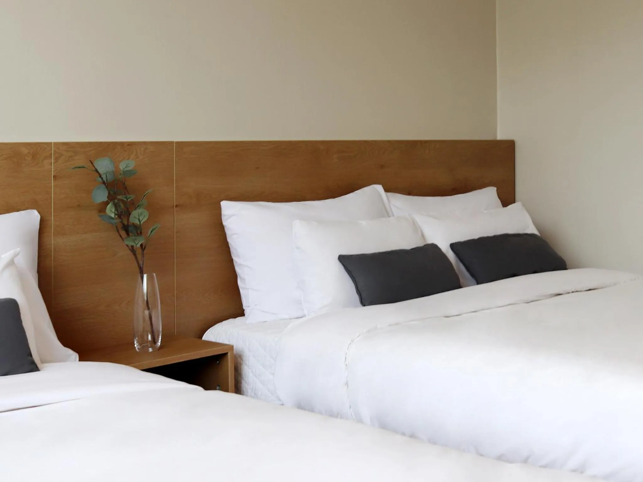 Deluxe Twin Room in Bloom Hotel