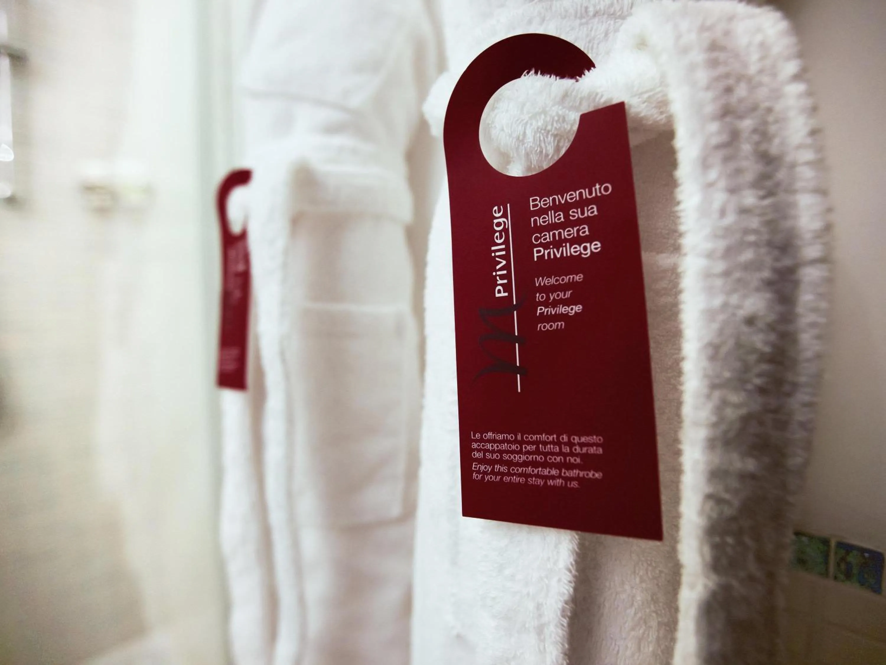 Privilege Room in Mercure Olbia