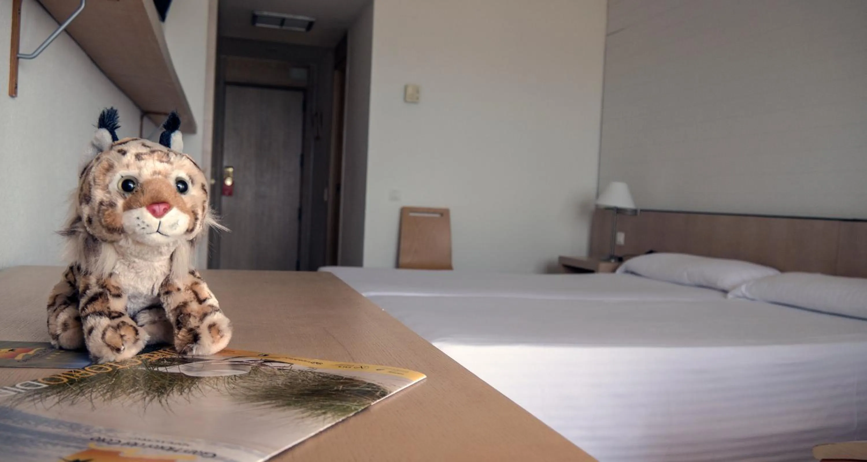 Twin Room in Gran Hotel del Coto