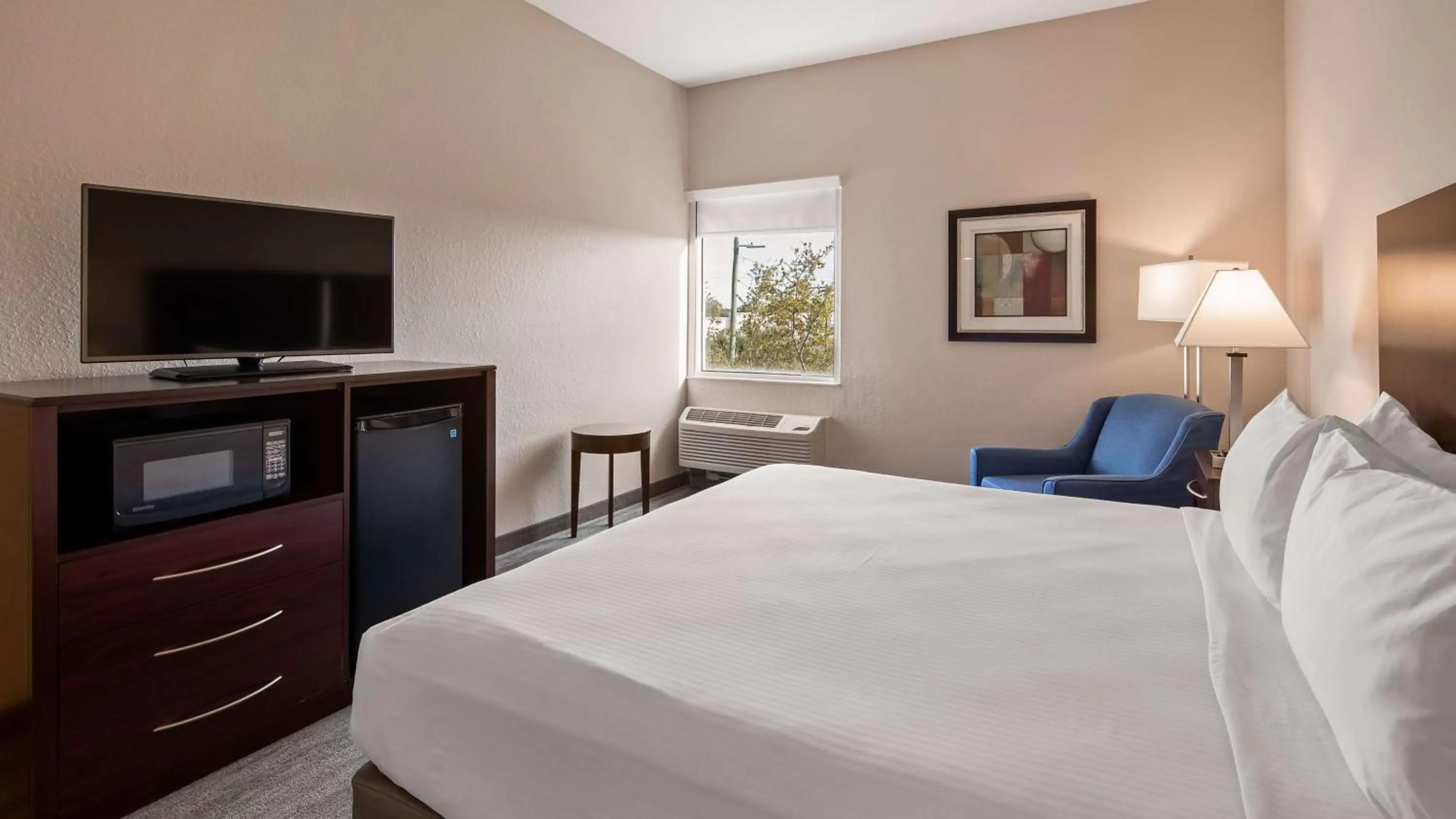 Photo of the whole room, Bed in Best Western Tampa