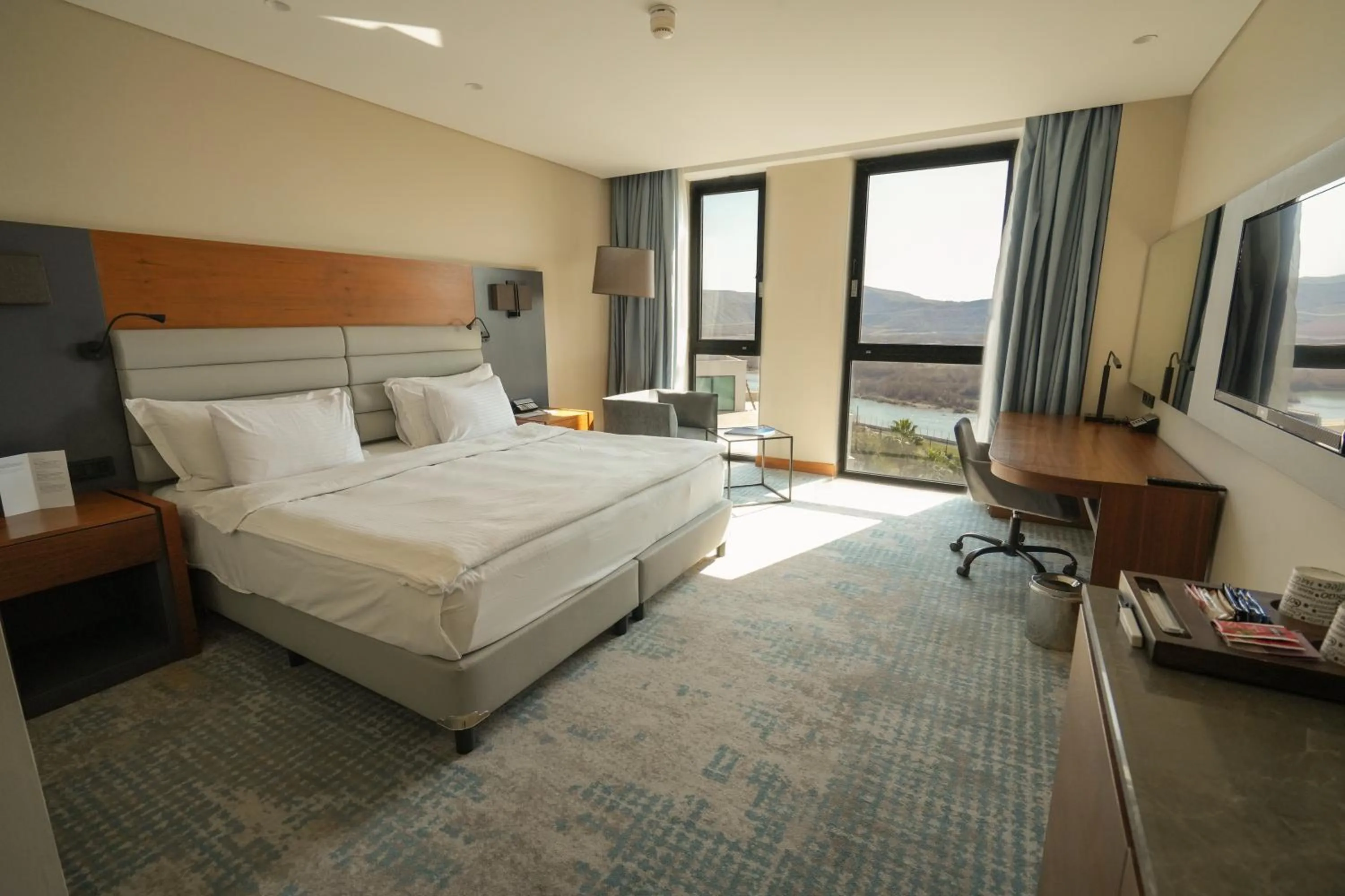 Superior King Room - single occupancy in Dedeman Cizre Hotel