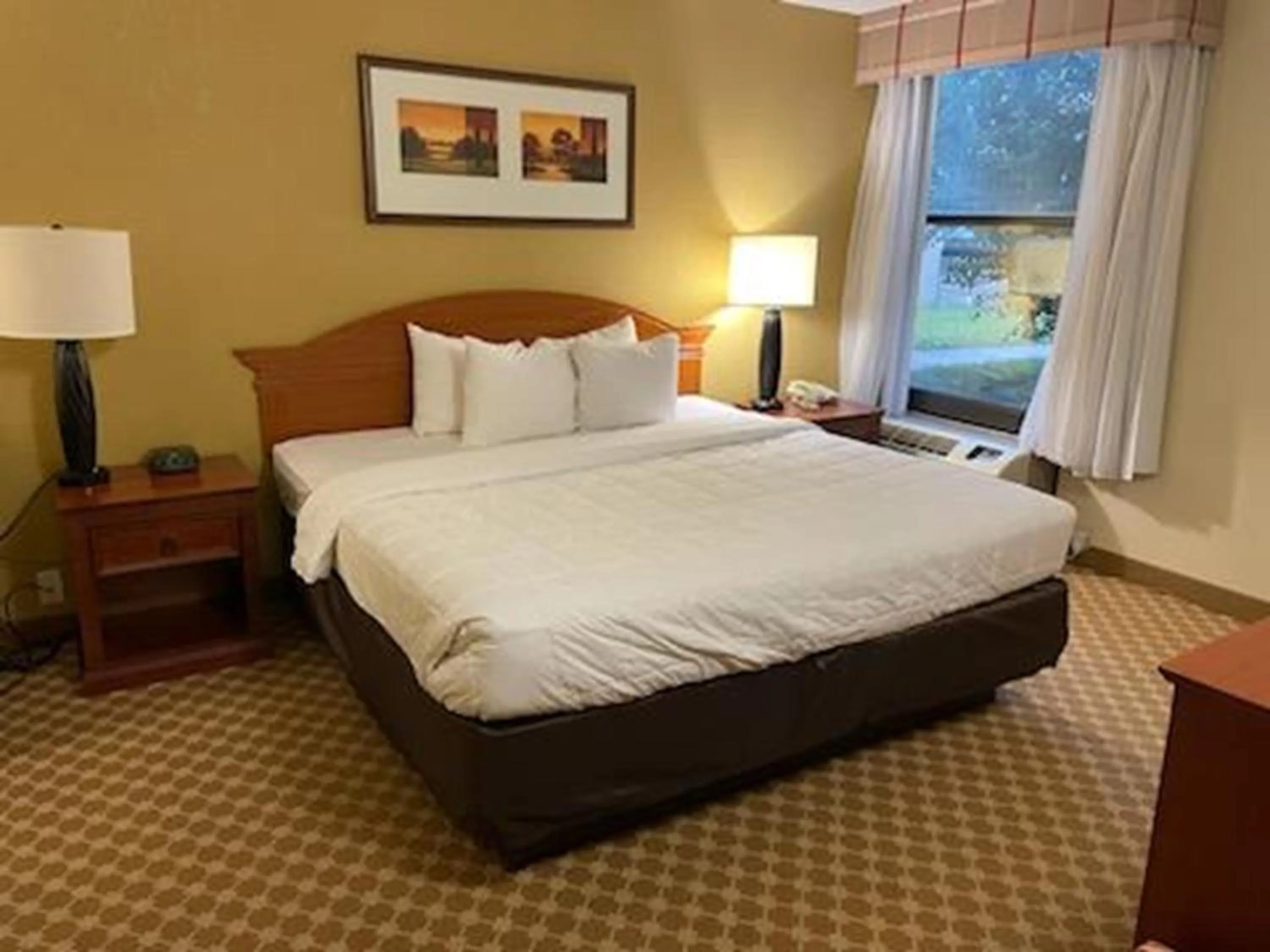 One Bedroom King Suite with Sofa Bed - Non Smoking in Quality Inn & Suites