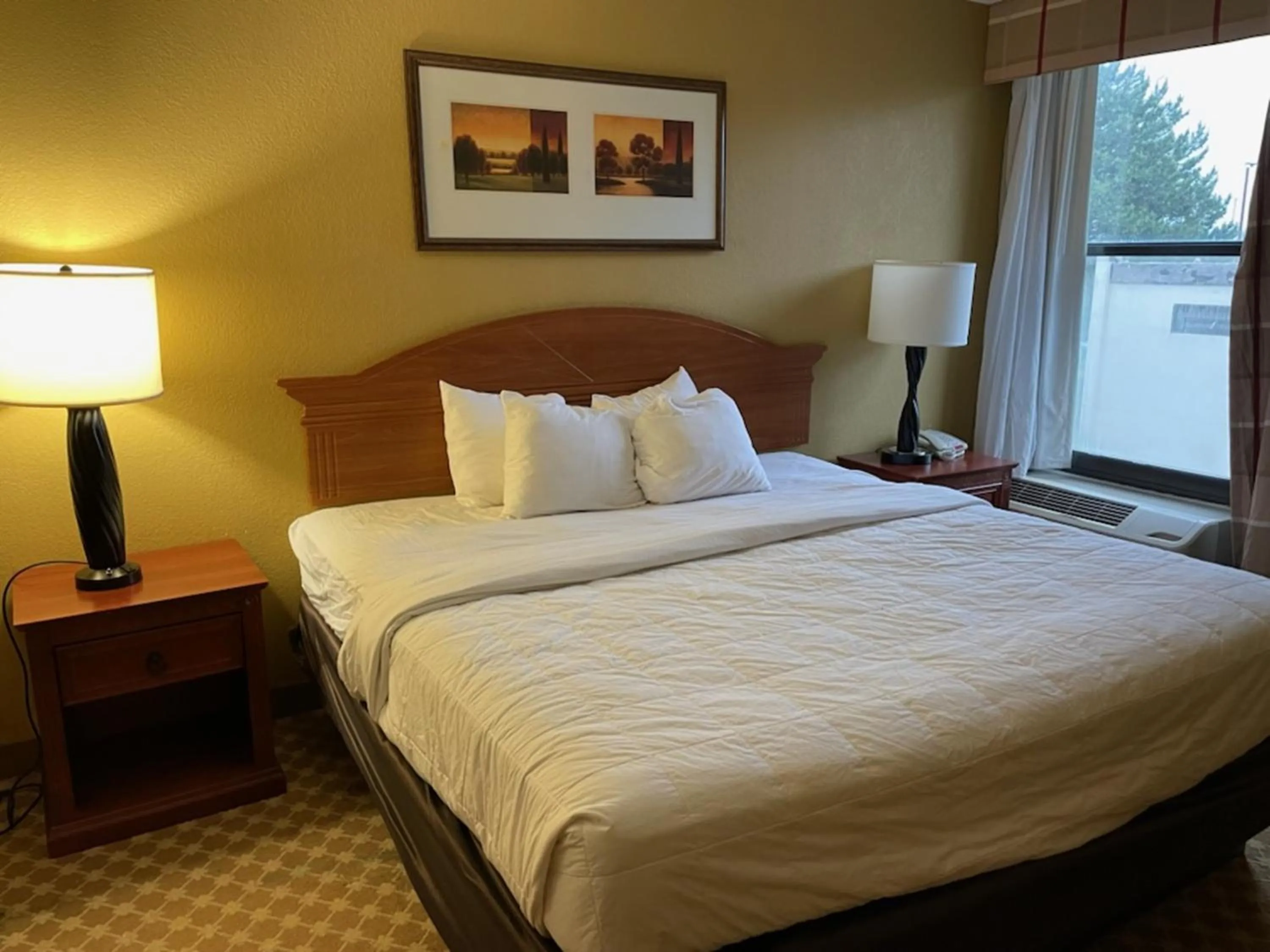 Double Room - Accessible/Non Smoking in Quality Inn & Suites